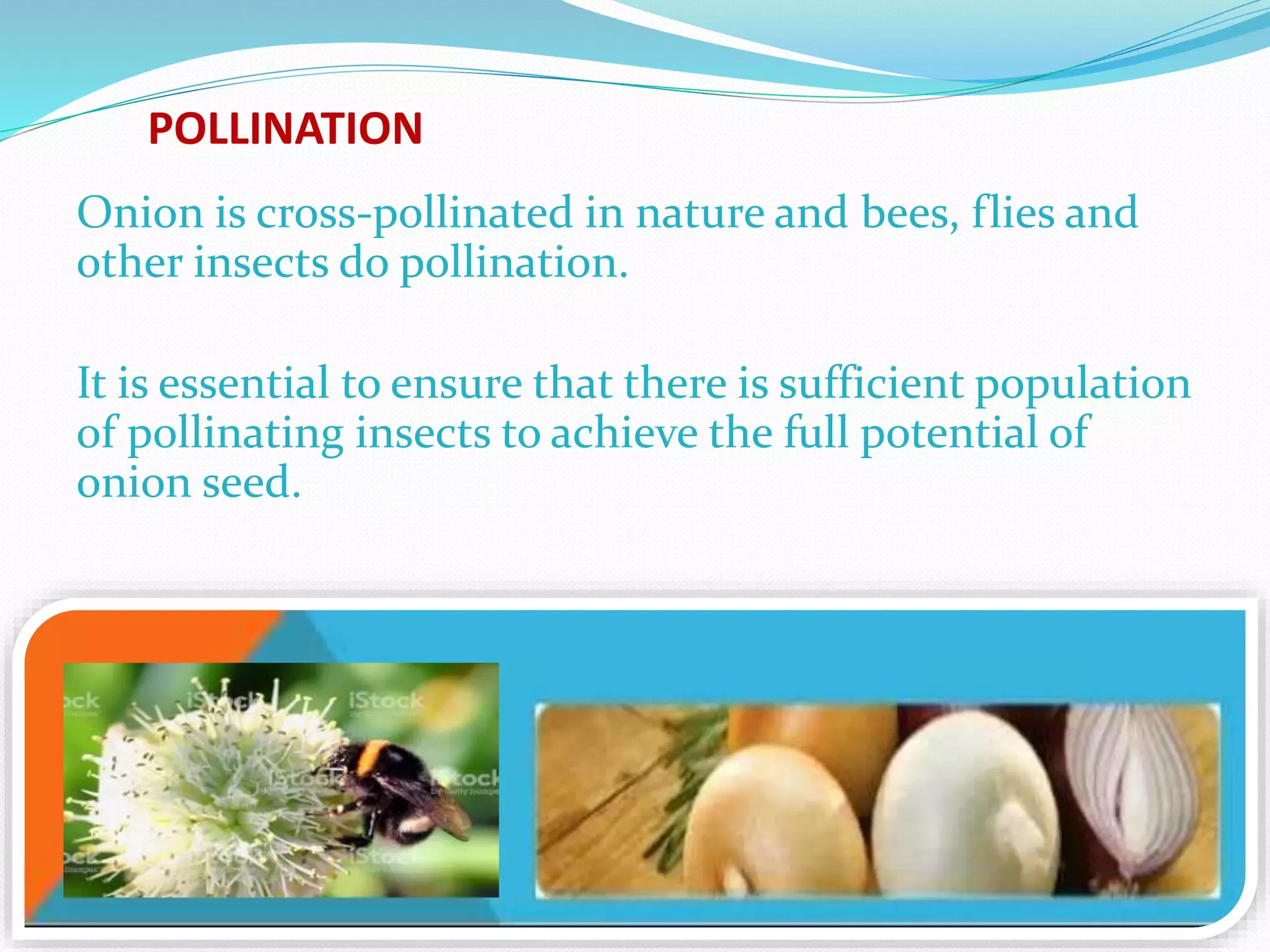 Slide 10