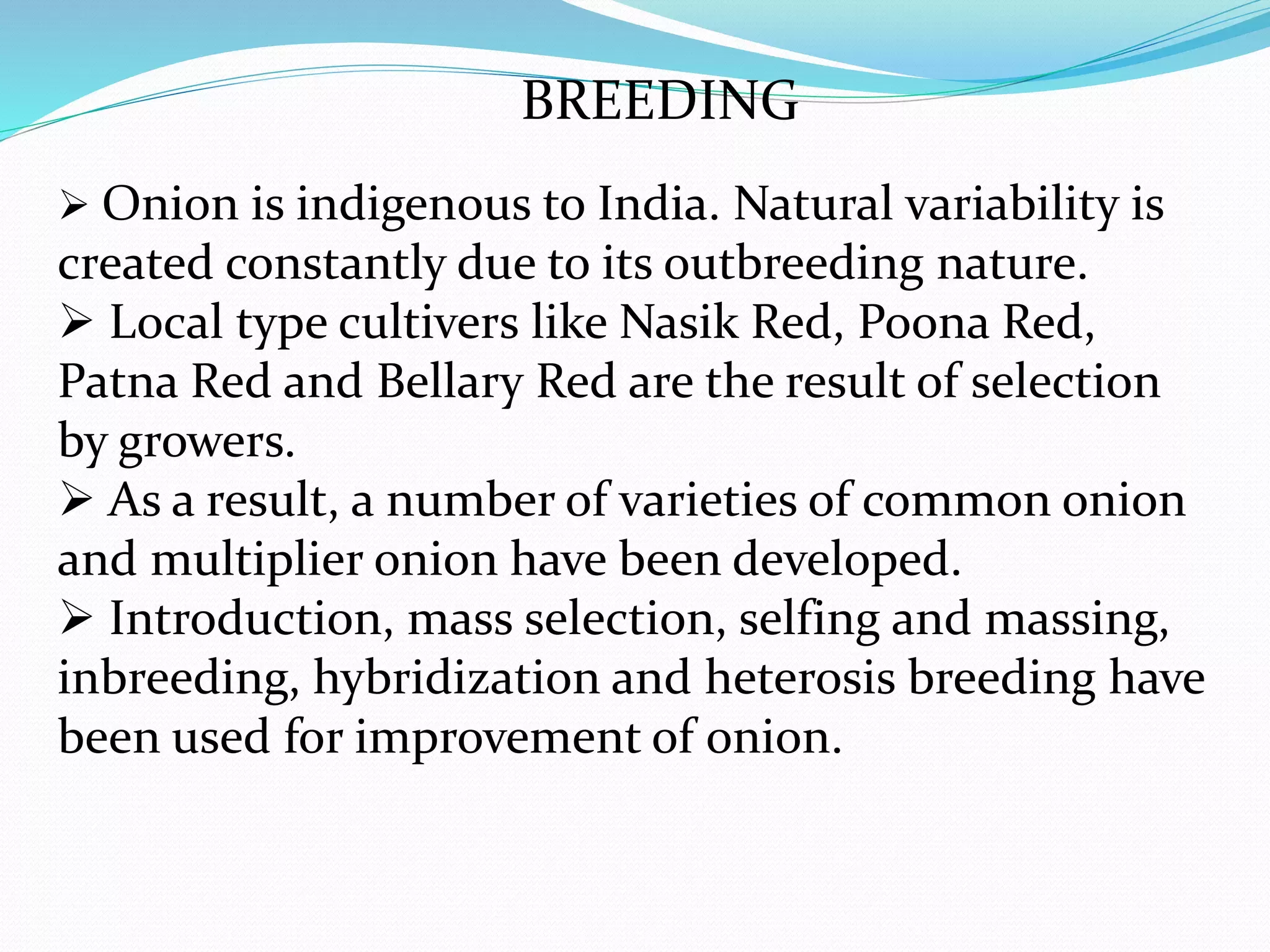 Slide 11