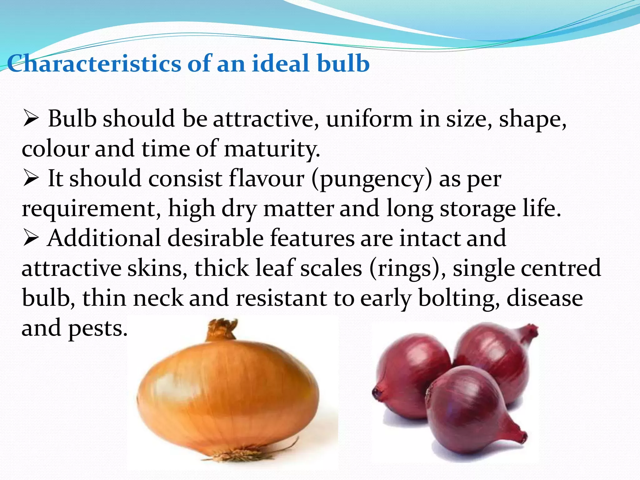 Slide 14