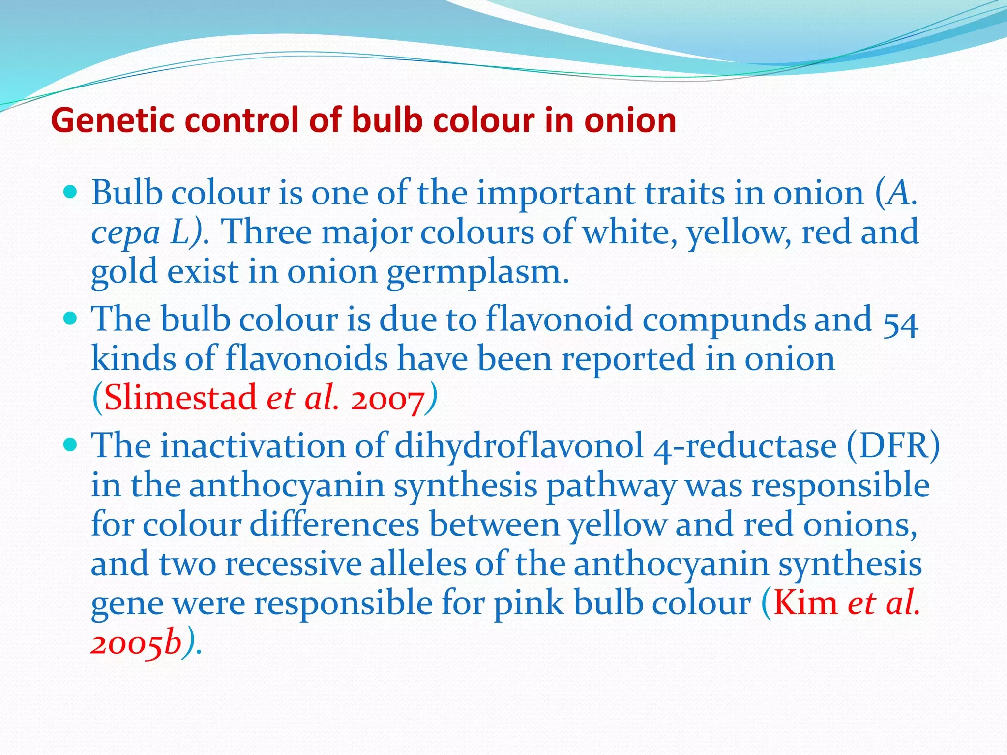 Slide 16