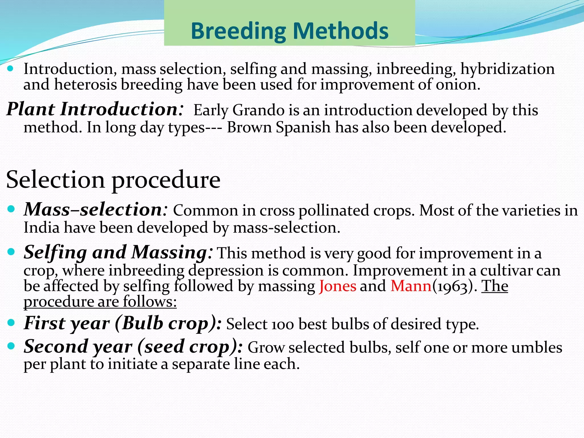 Slide 17