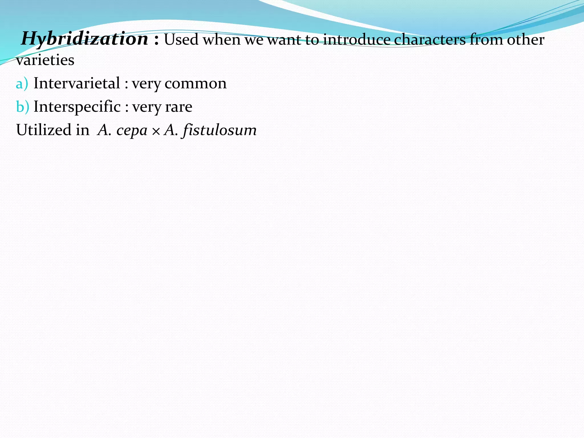 Slide 19