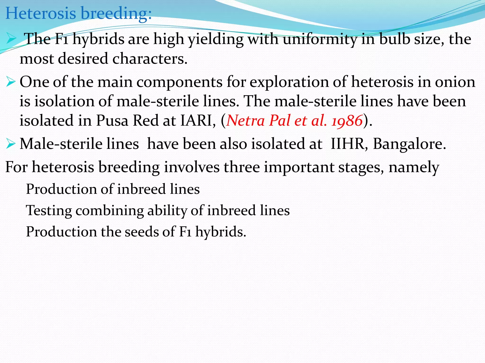 Slide 20