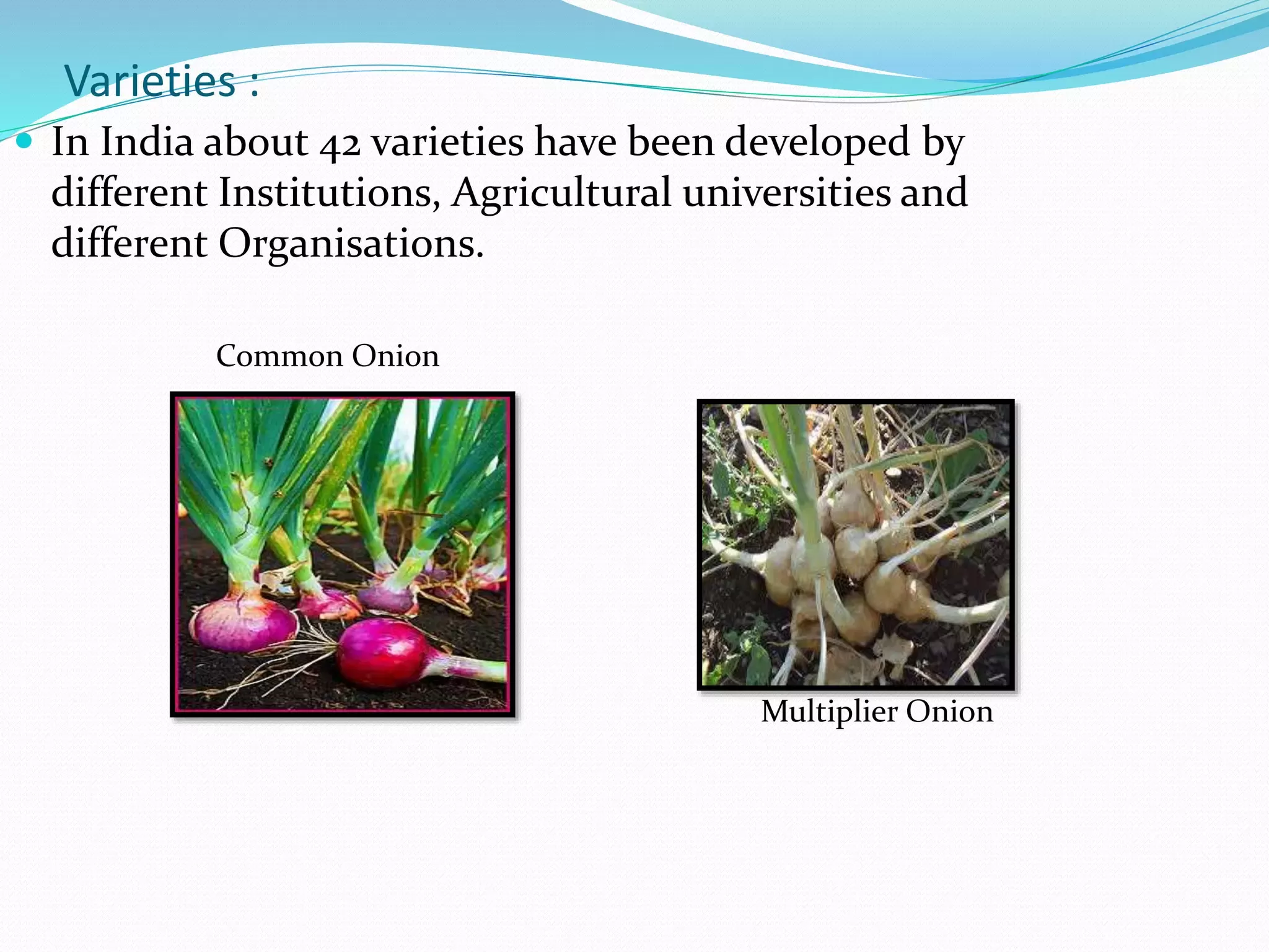 Slide 23