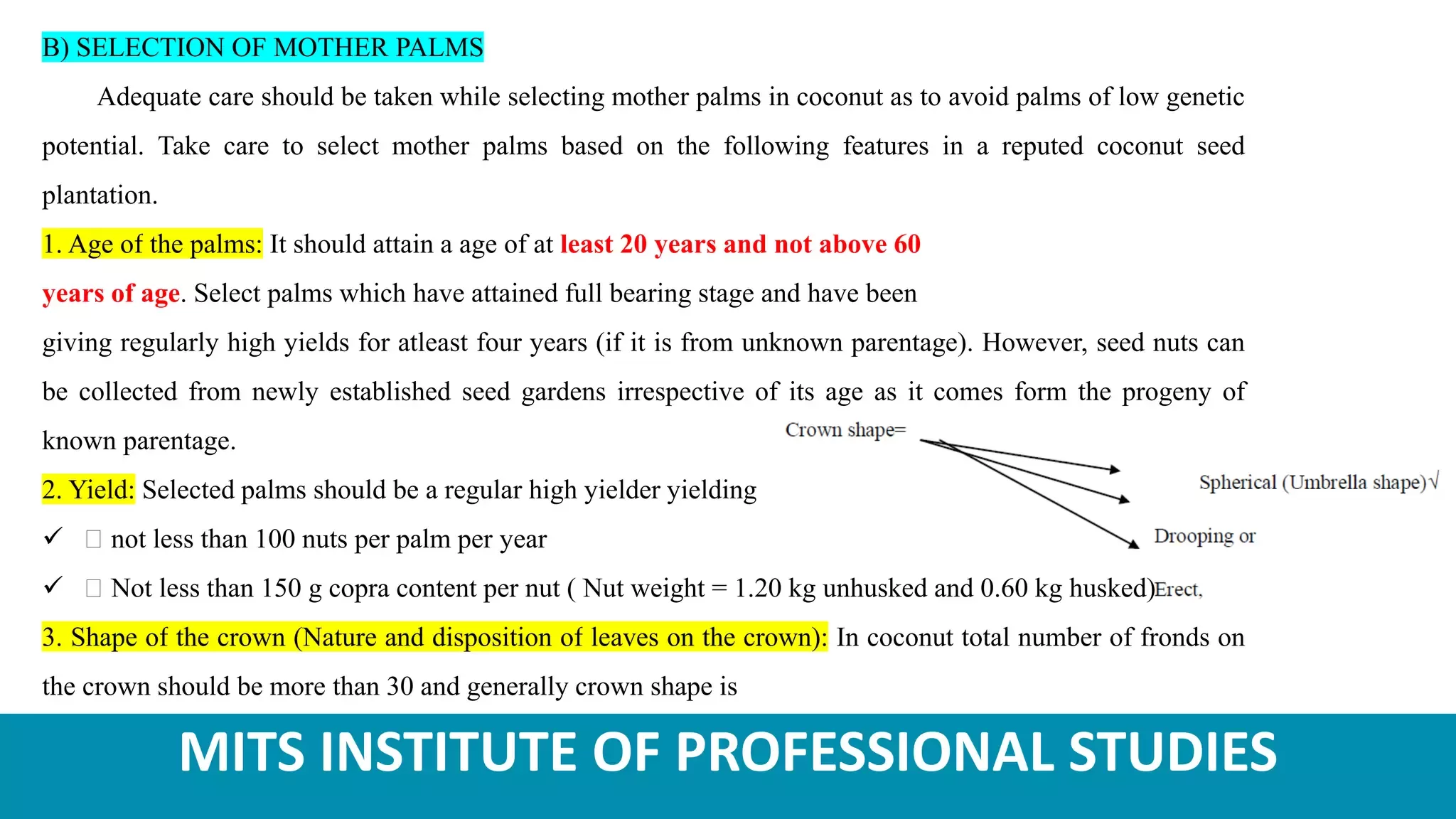 Slide 10