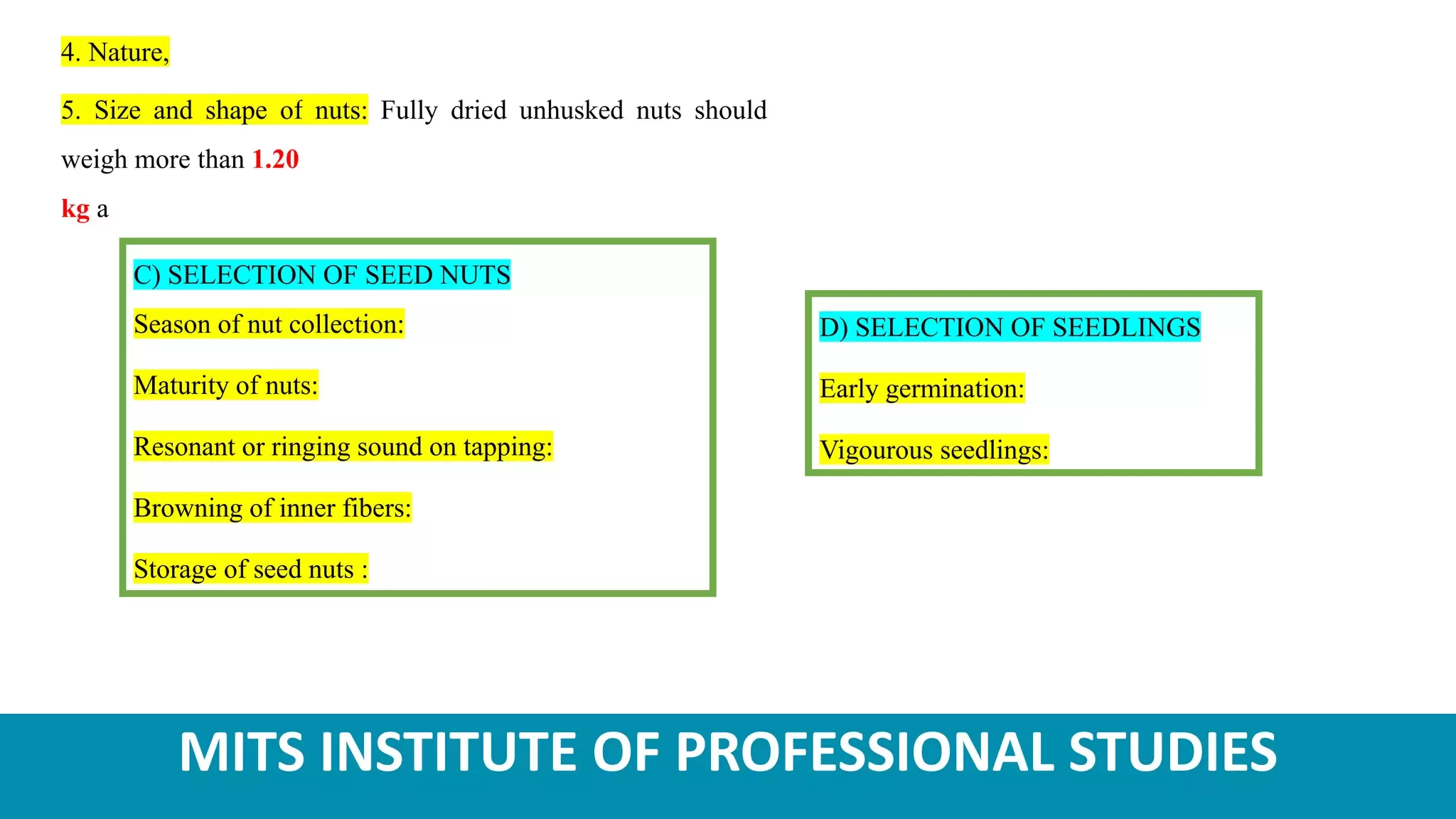 Slide 11