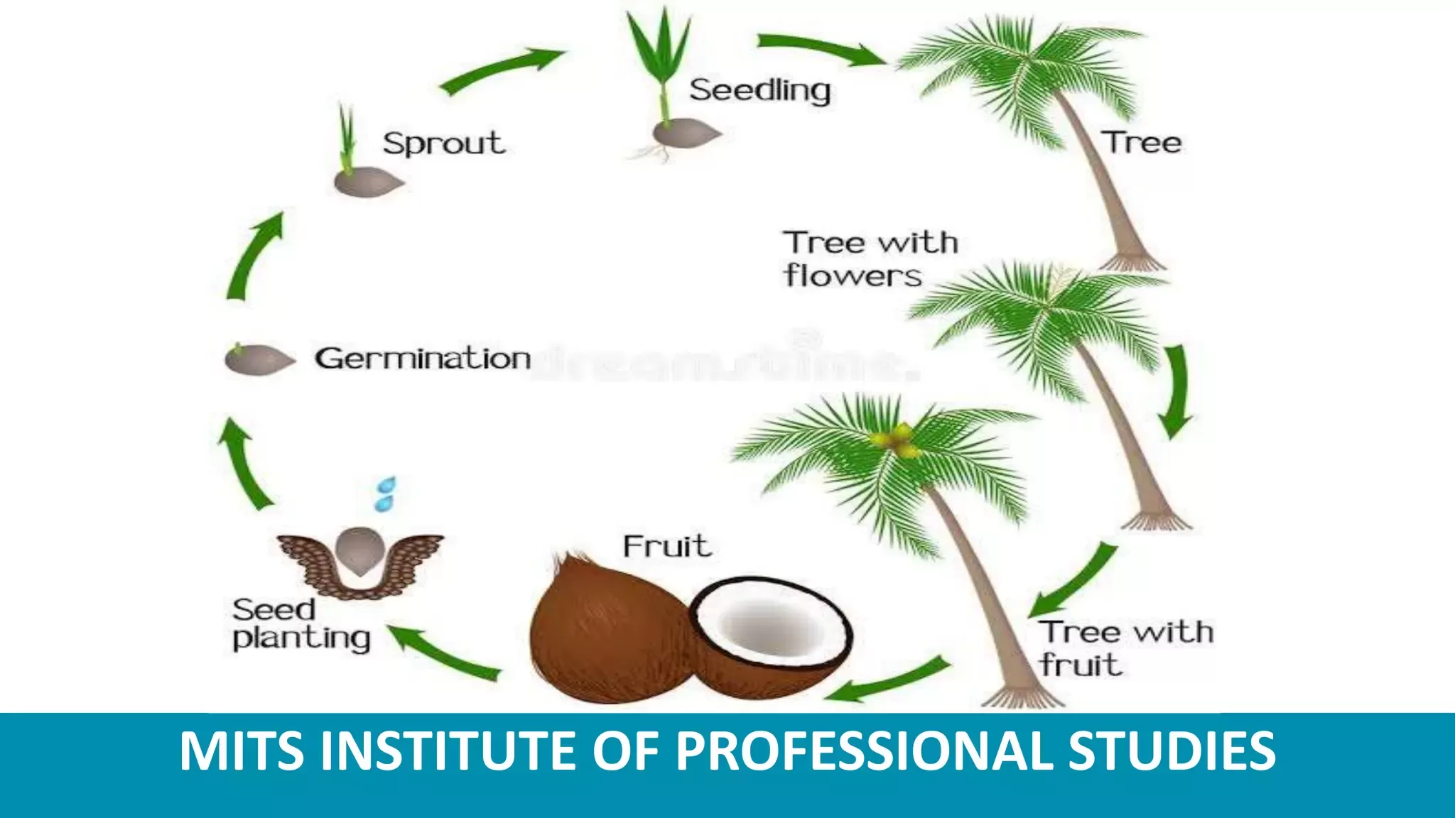 Slide 12