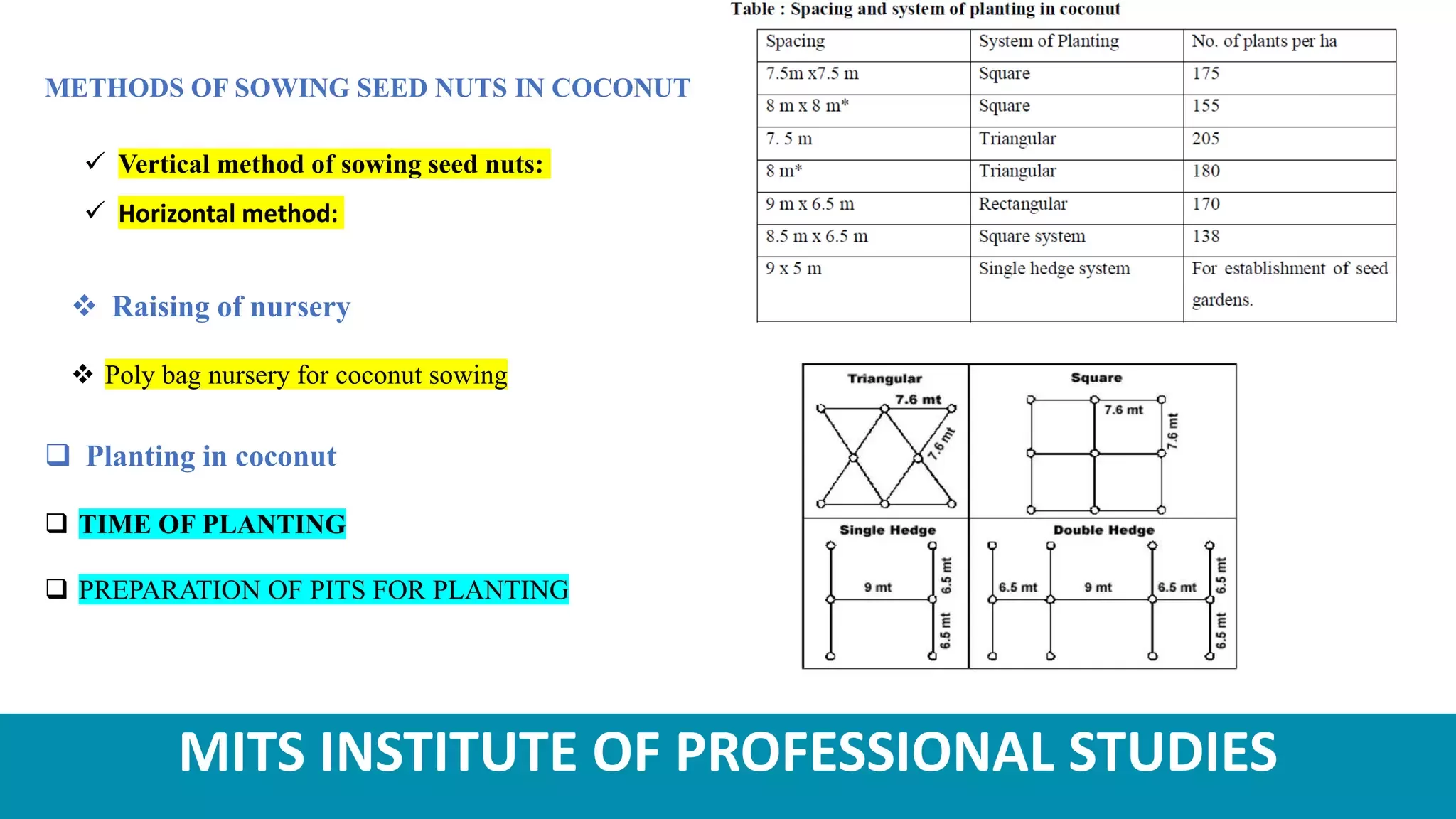 Slide 13