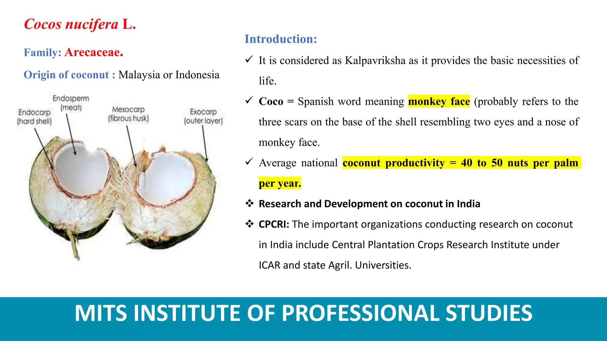 Slide 1