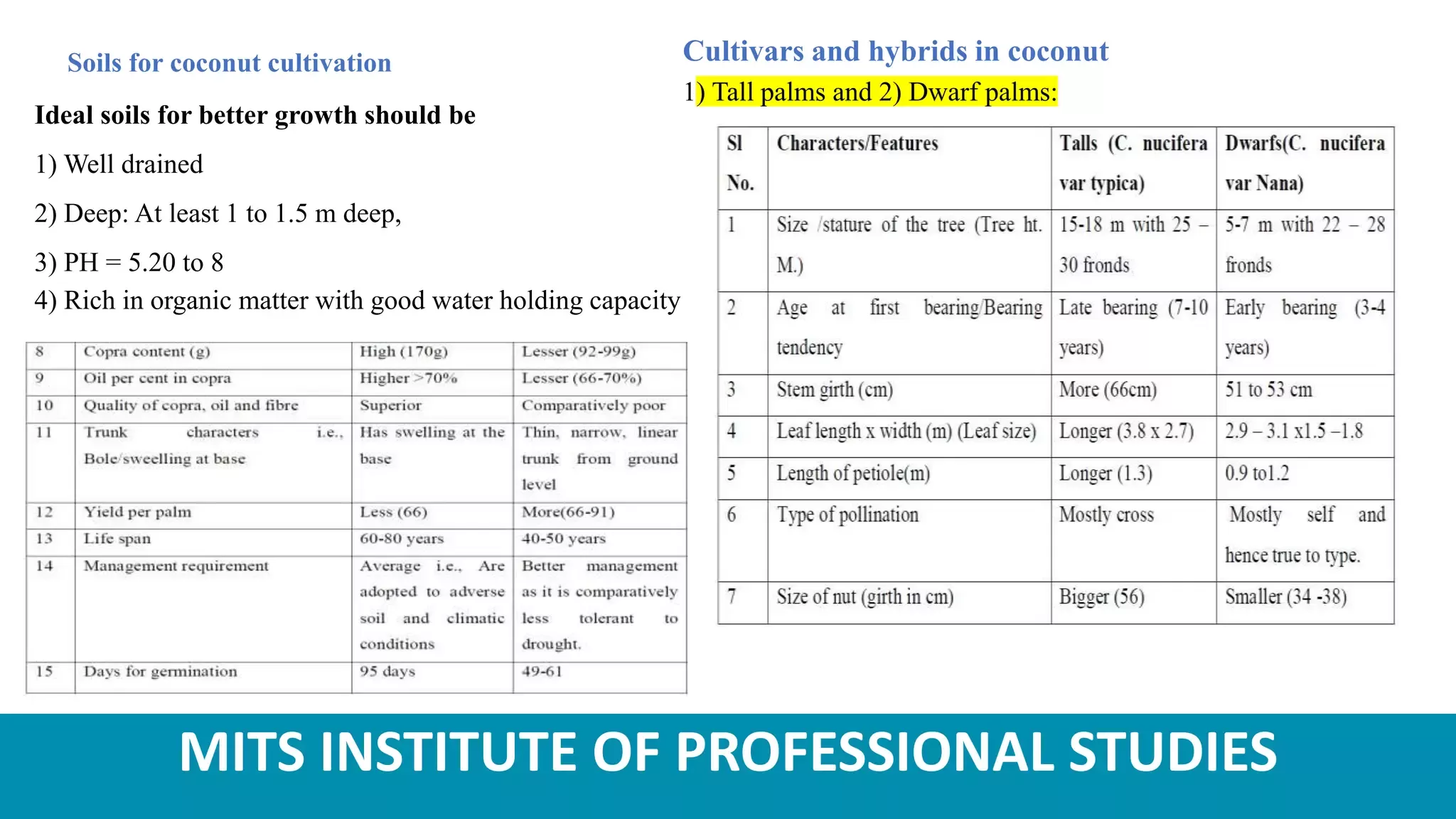 Slide 6