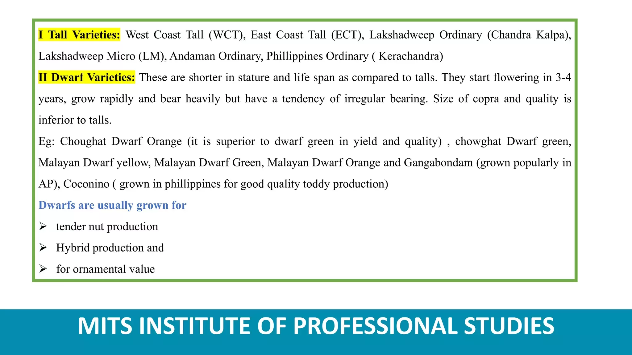 Slide 7
