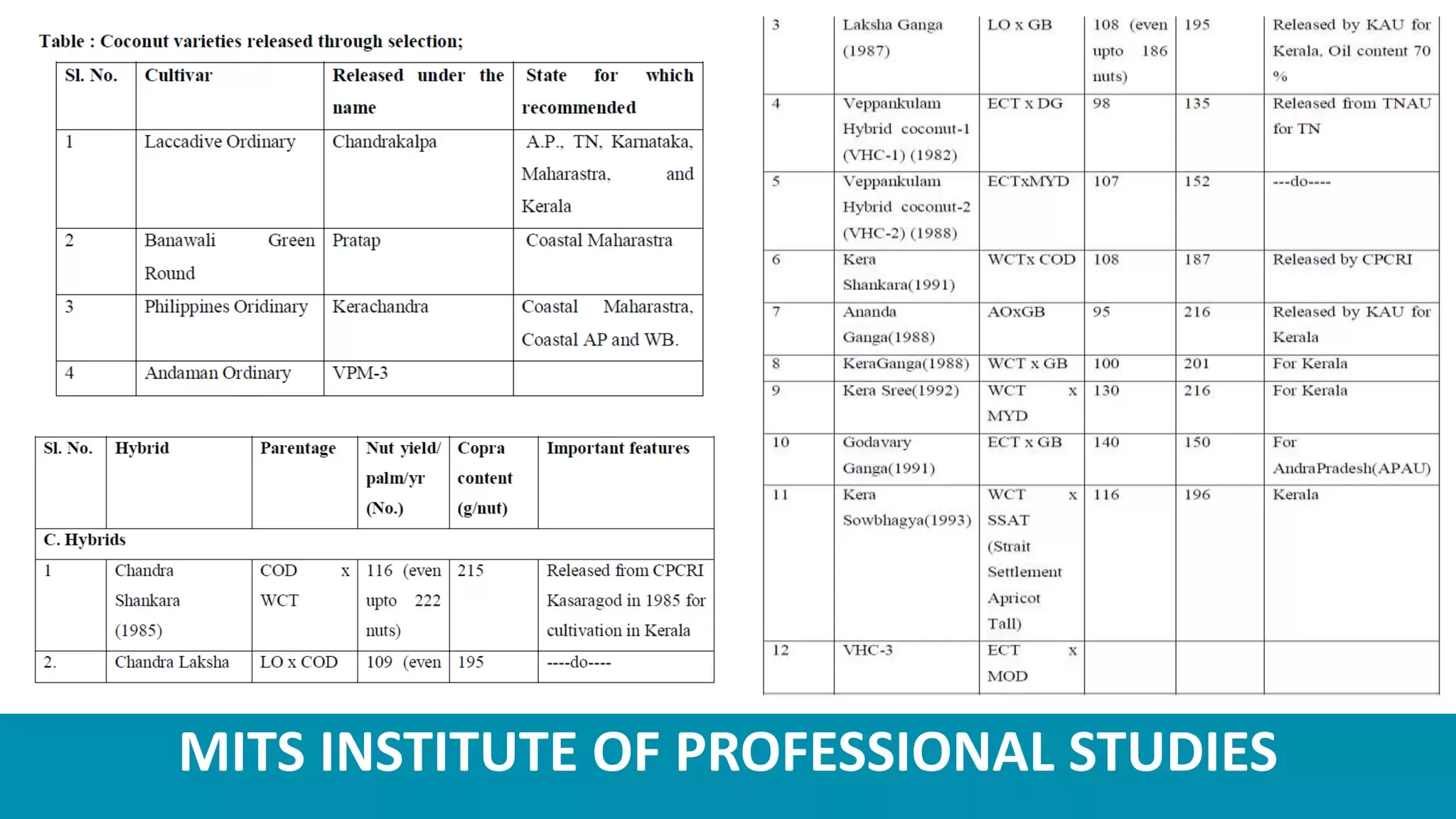 Slide 8