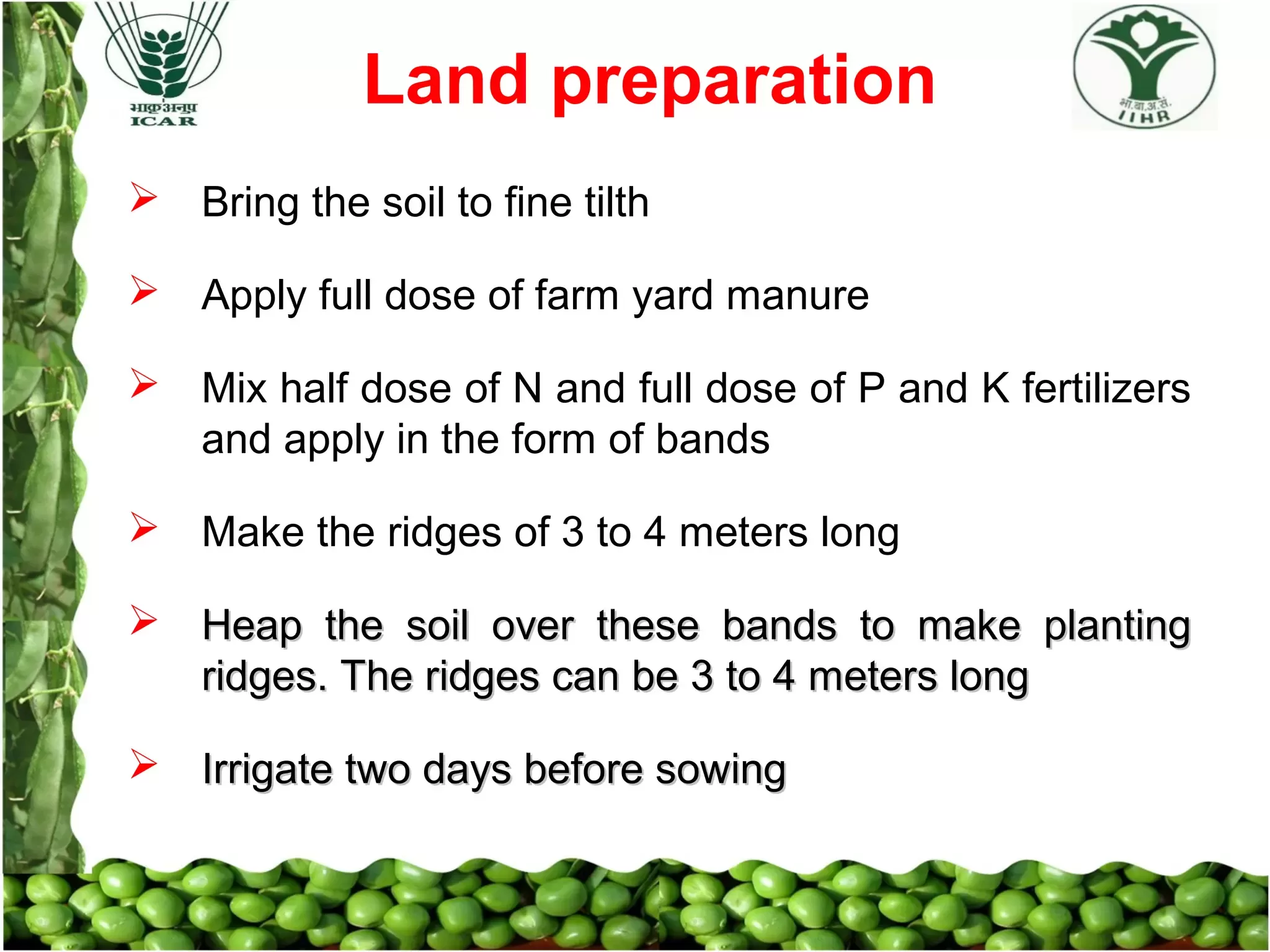 Slide 10