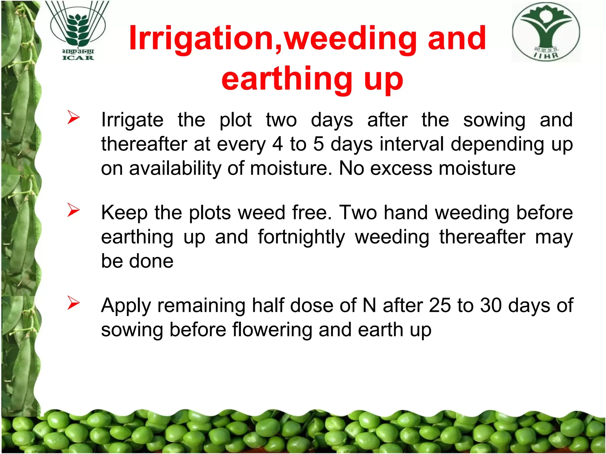 Slide 12