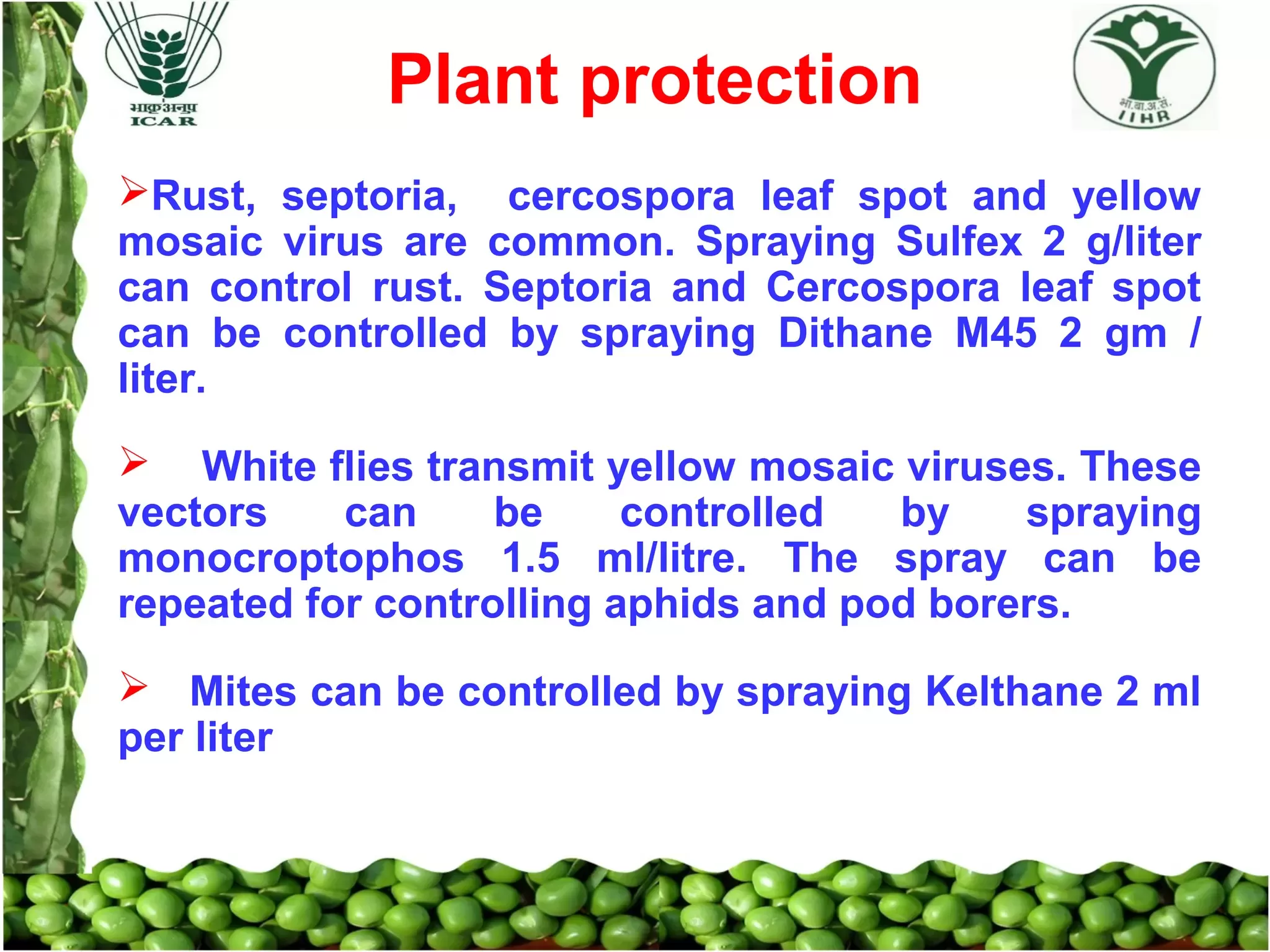 Slide 13