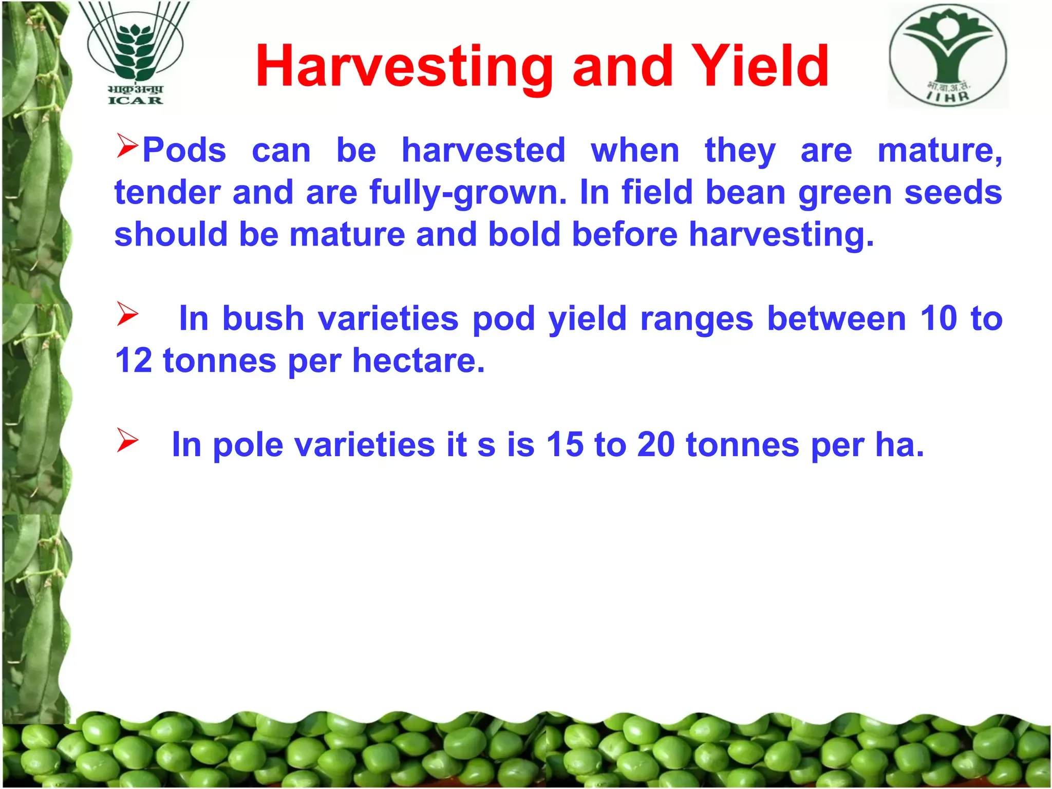 Slide 14