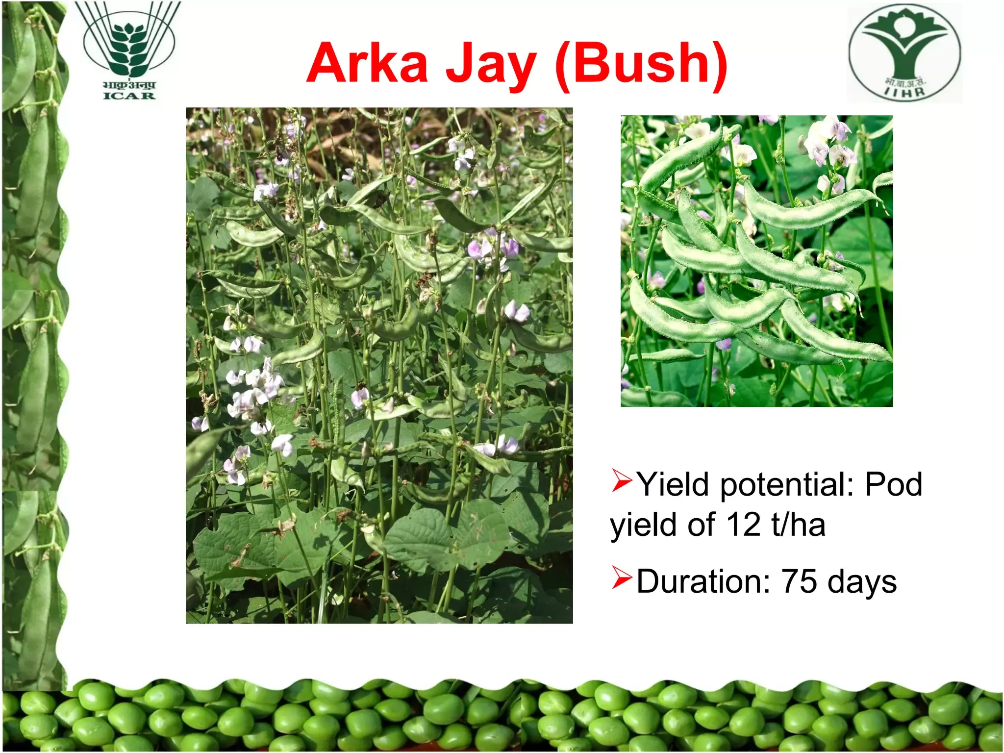 Slide 15