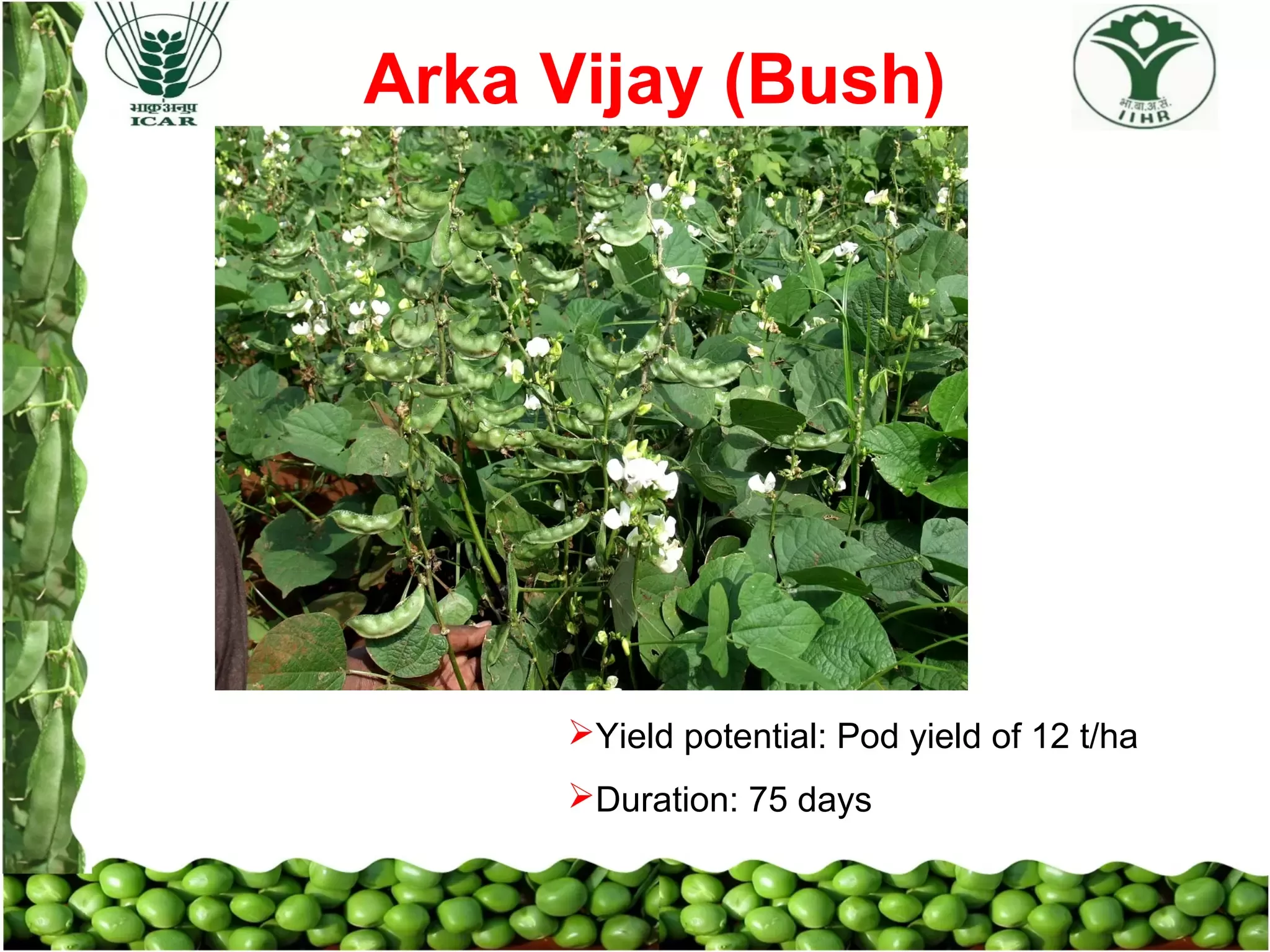 Slide 16