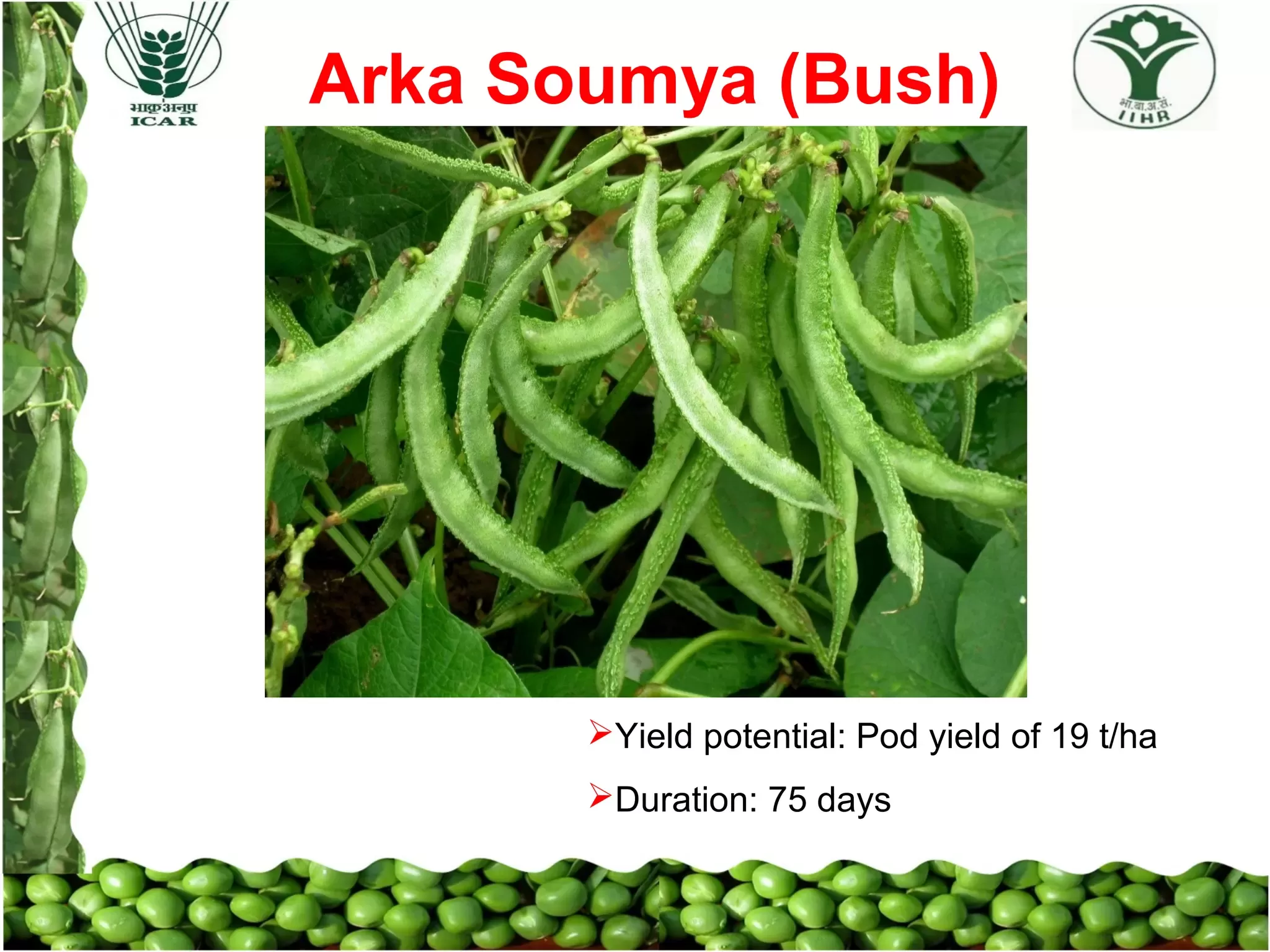 Slide 17