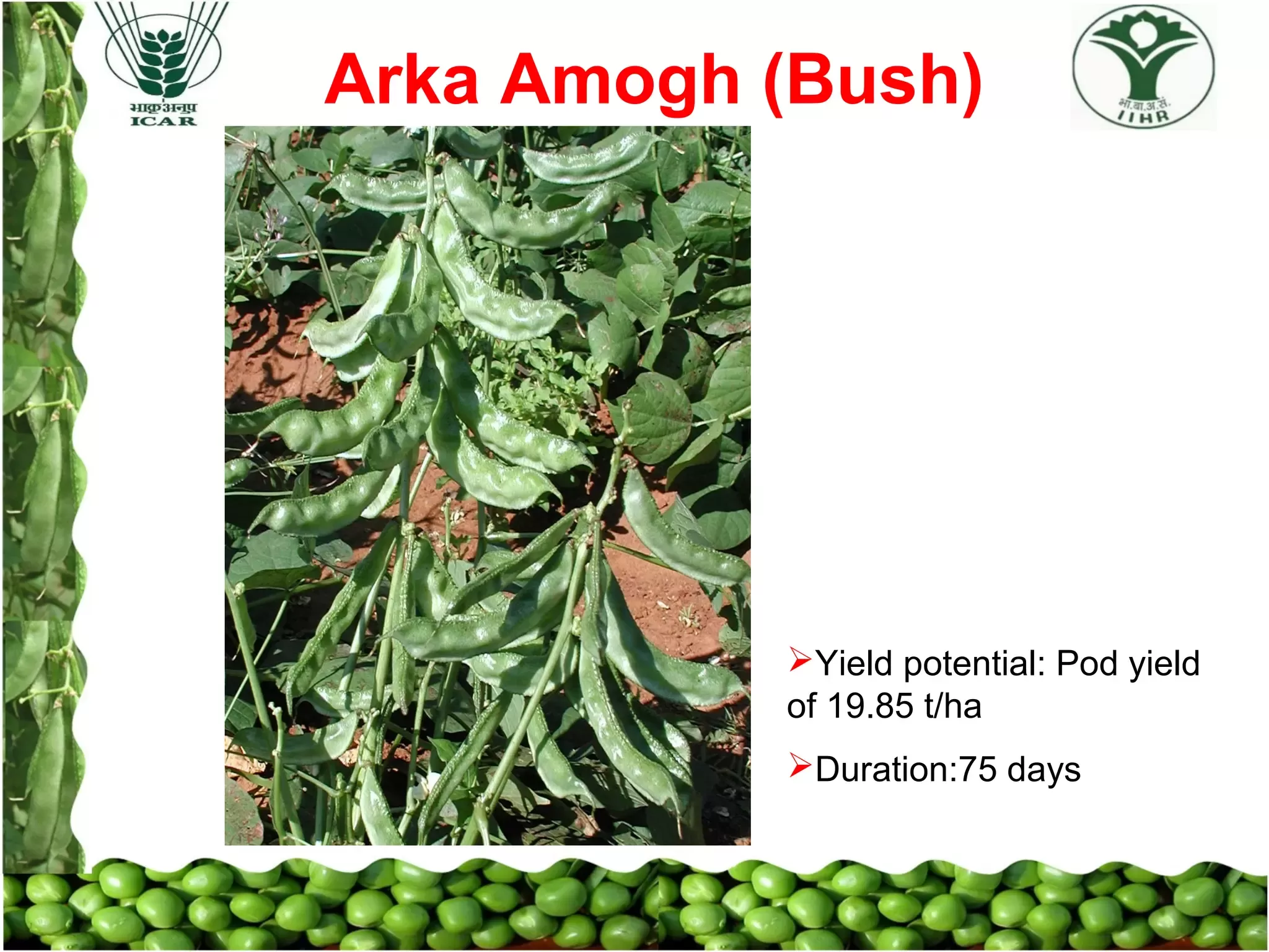 Slide 18