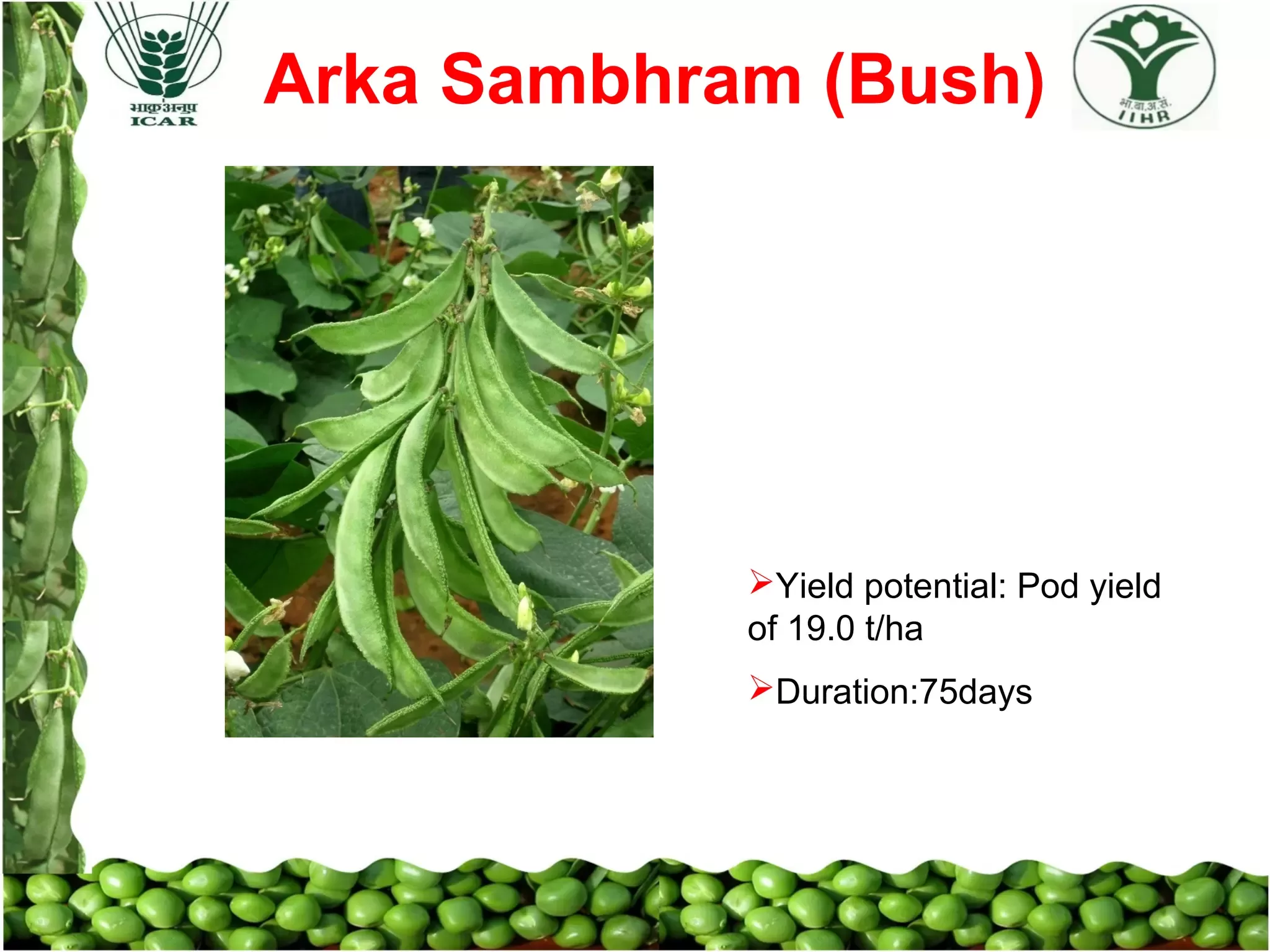 Slide 19