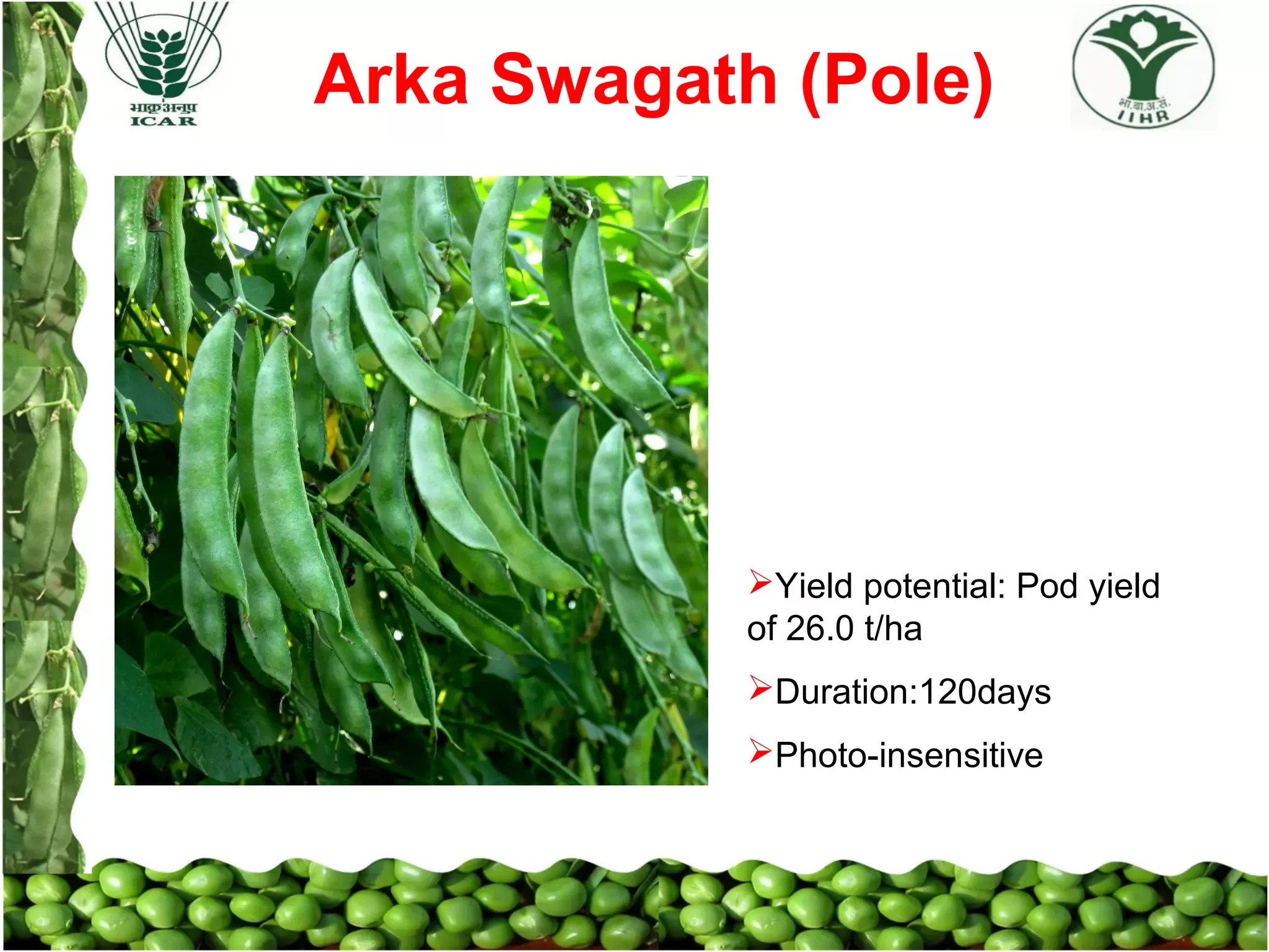 Slide 20