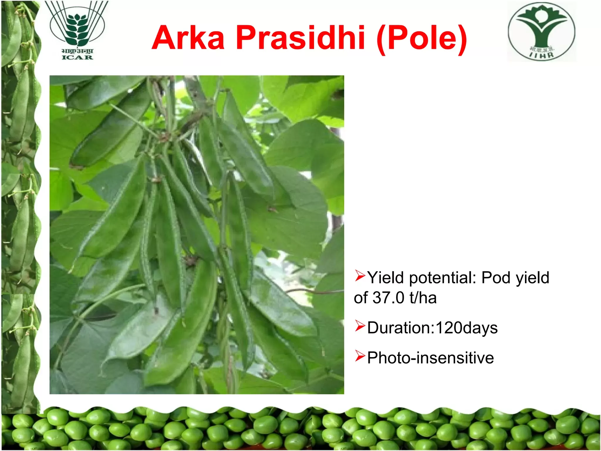 Slide 21