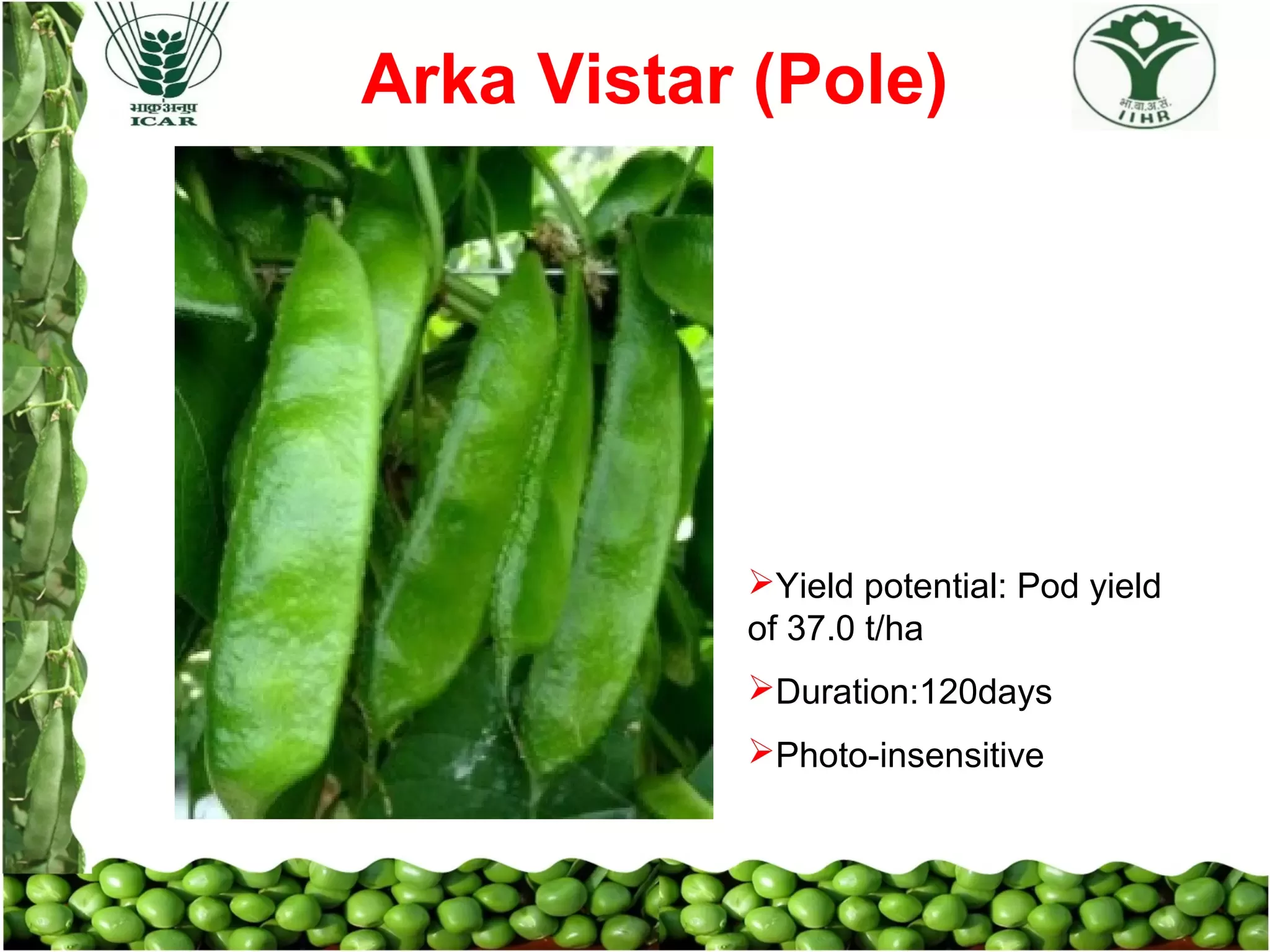 Slide 22