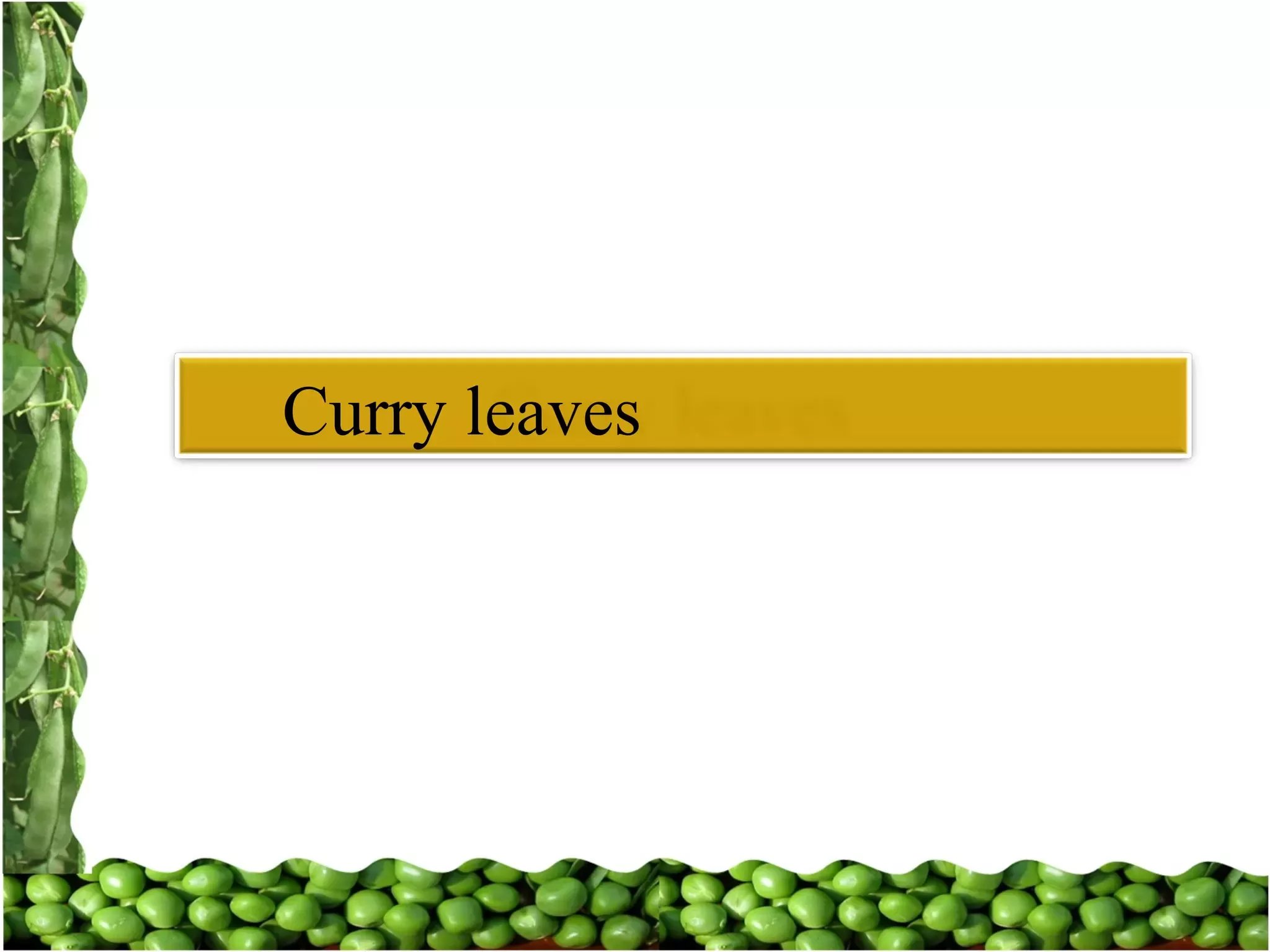 Slide 23