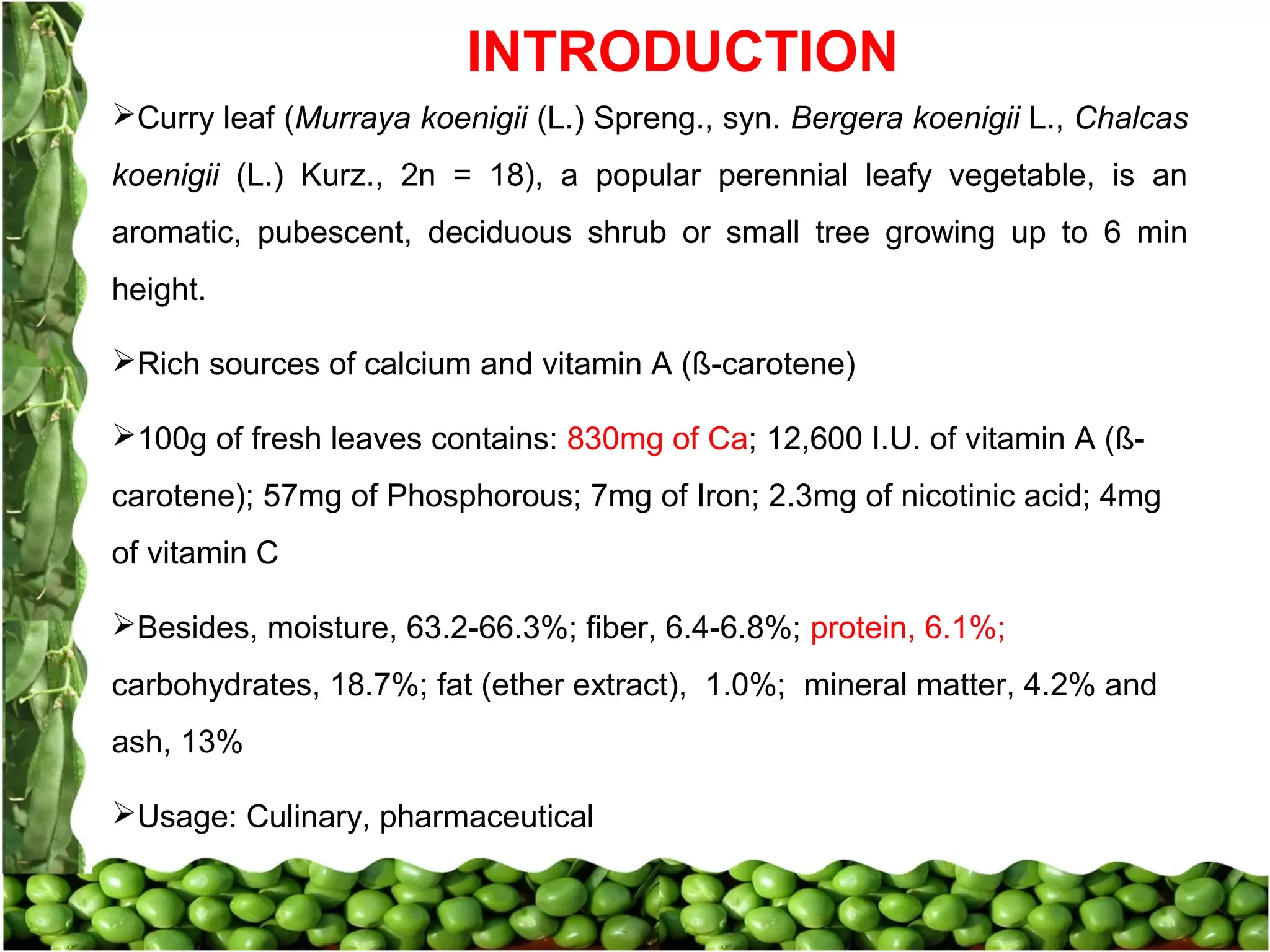 Slide 24