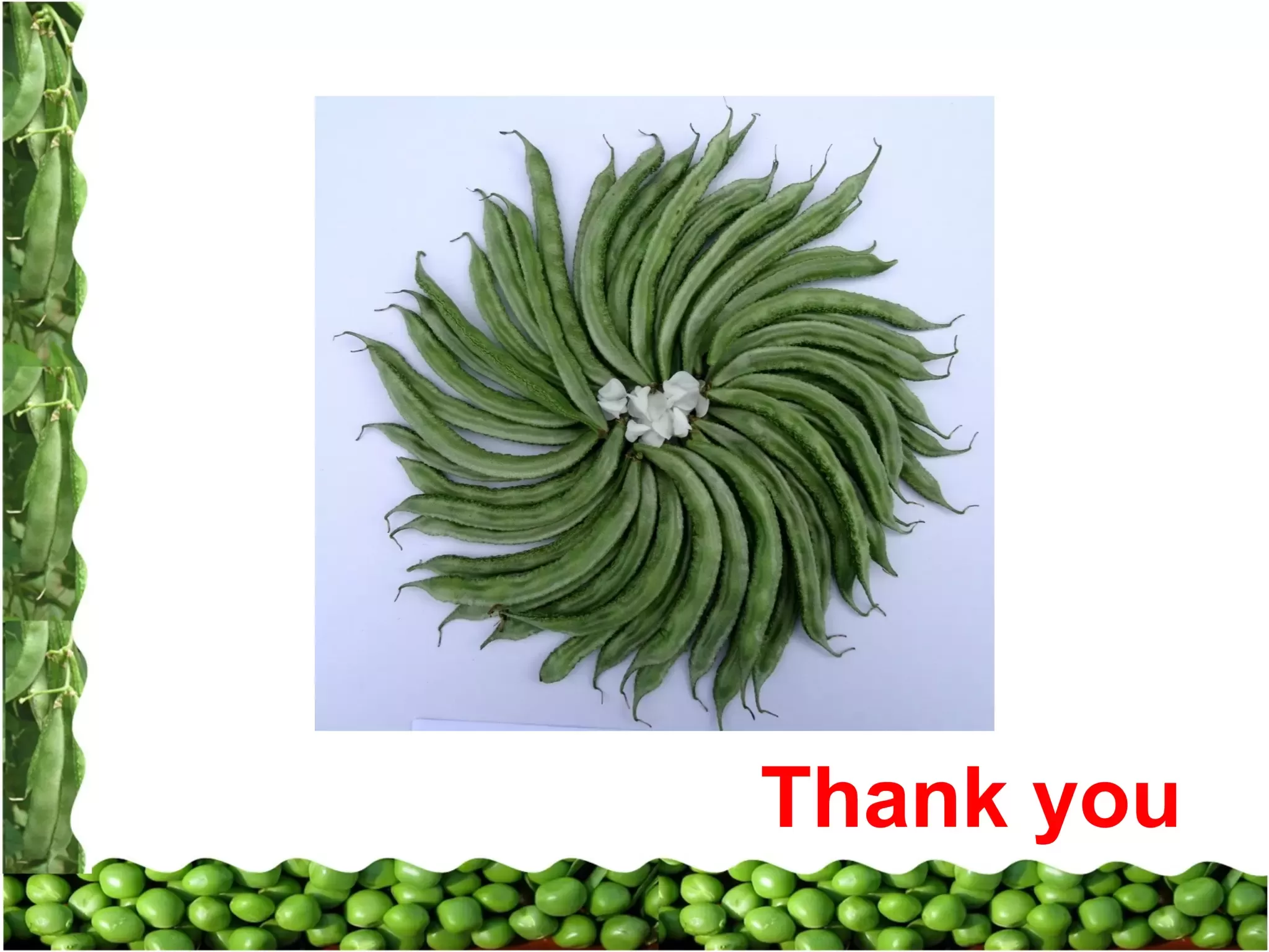 Slide 26