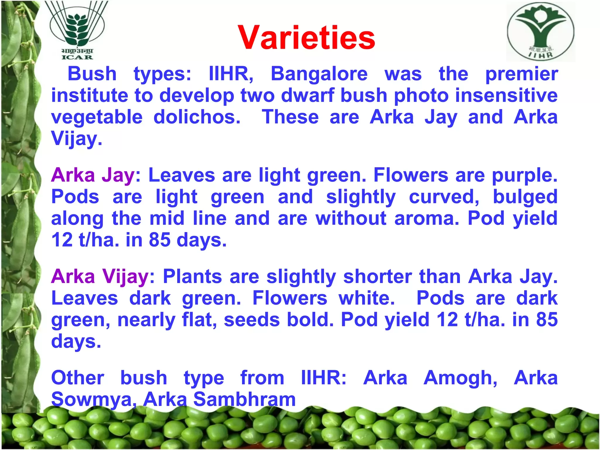 Slide 6