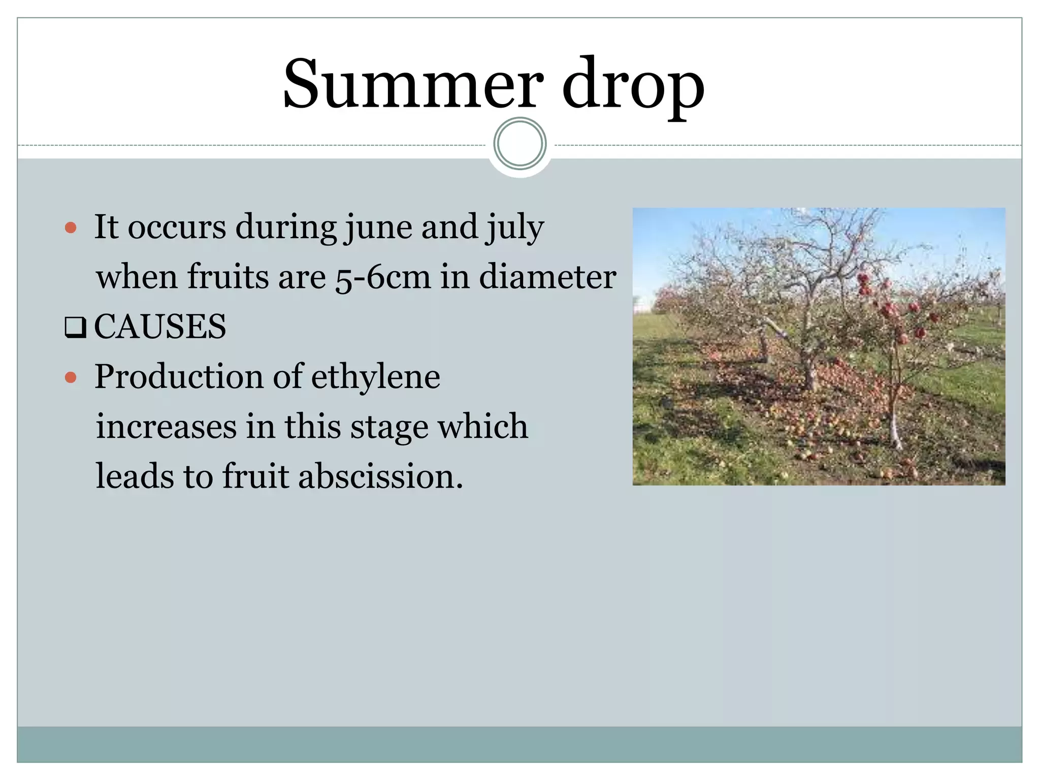 Slide 6