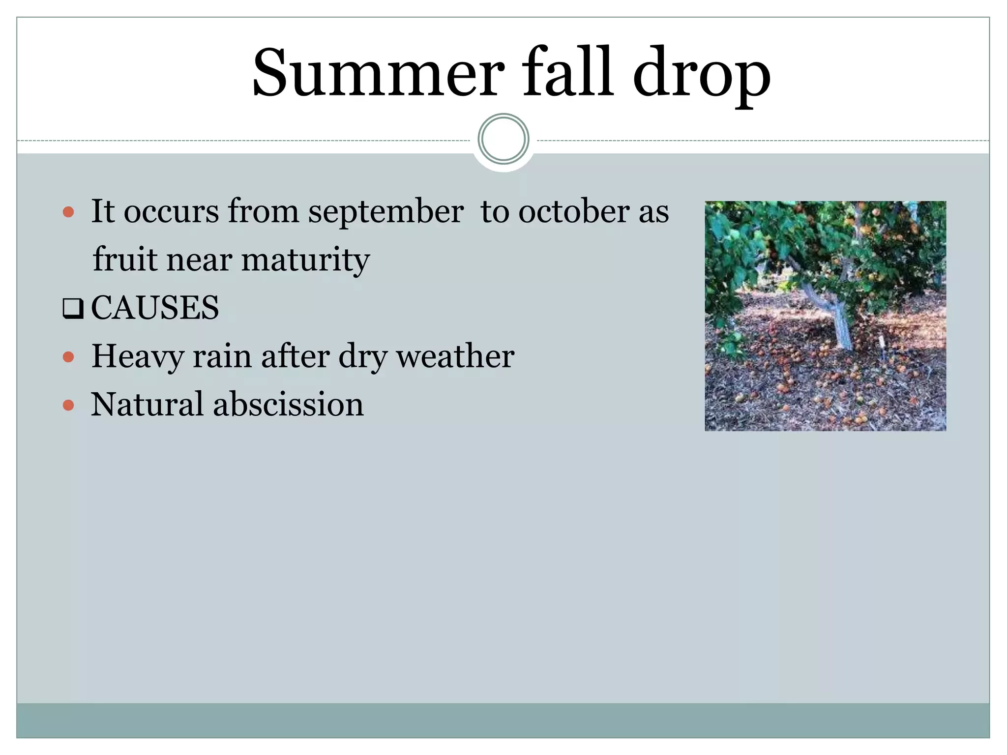 Slide 7