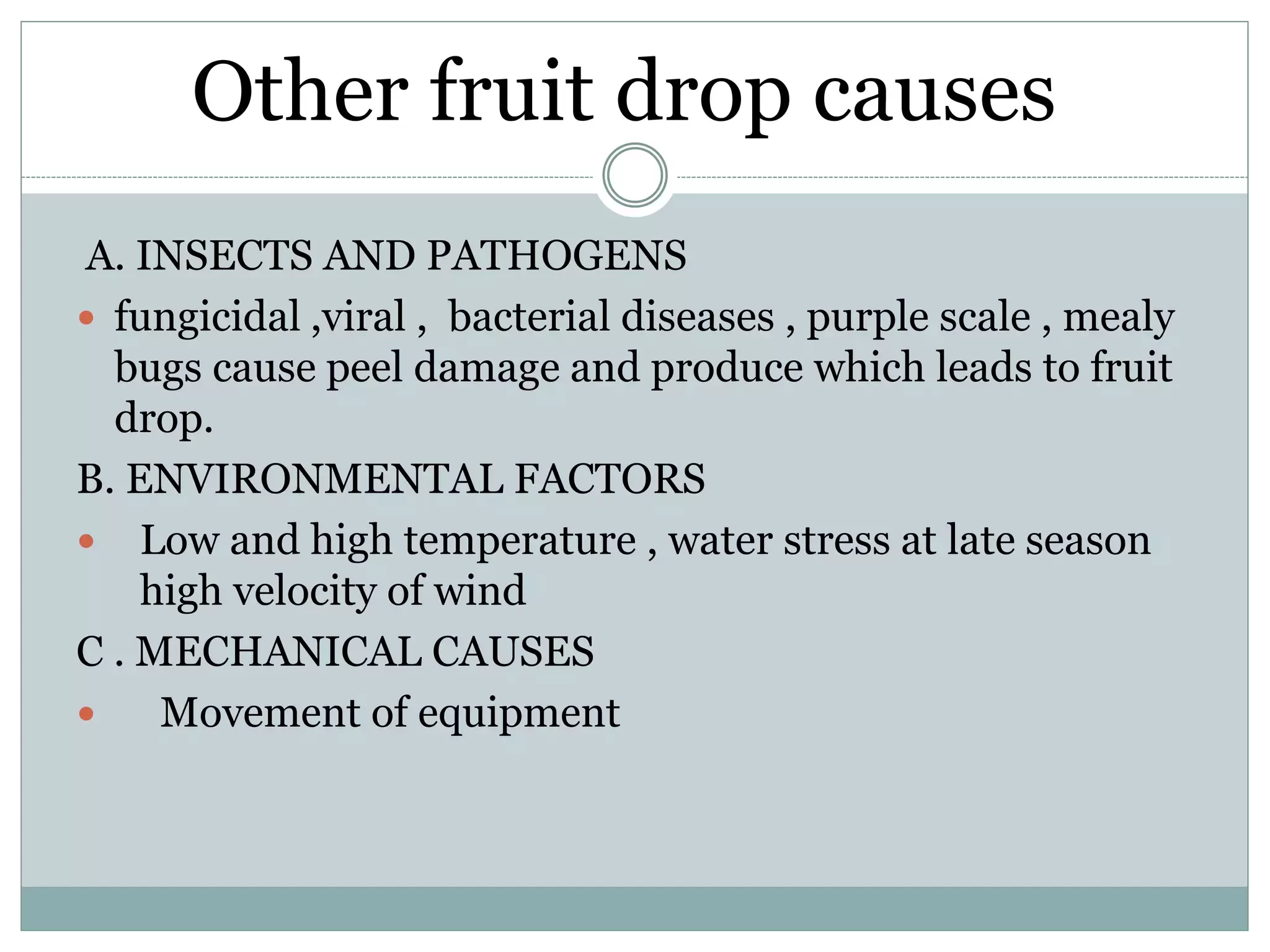 Slide 8
