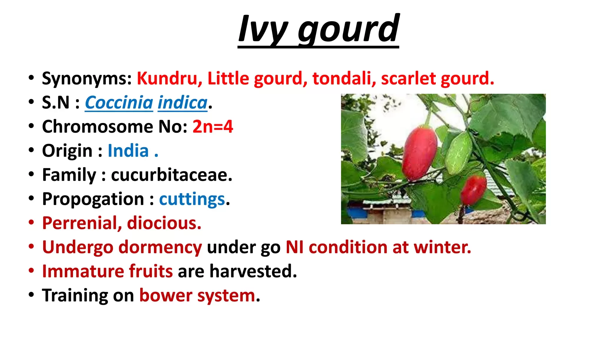 Slide 3