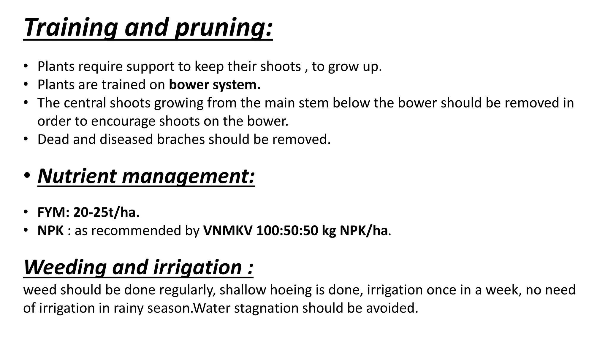 Slide 7