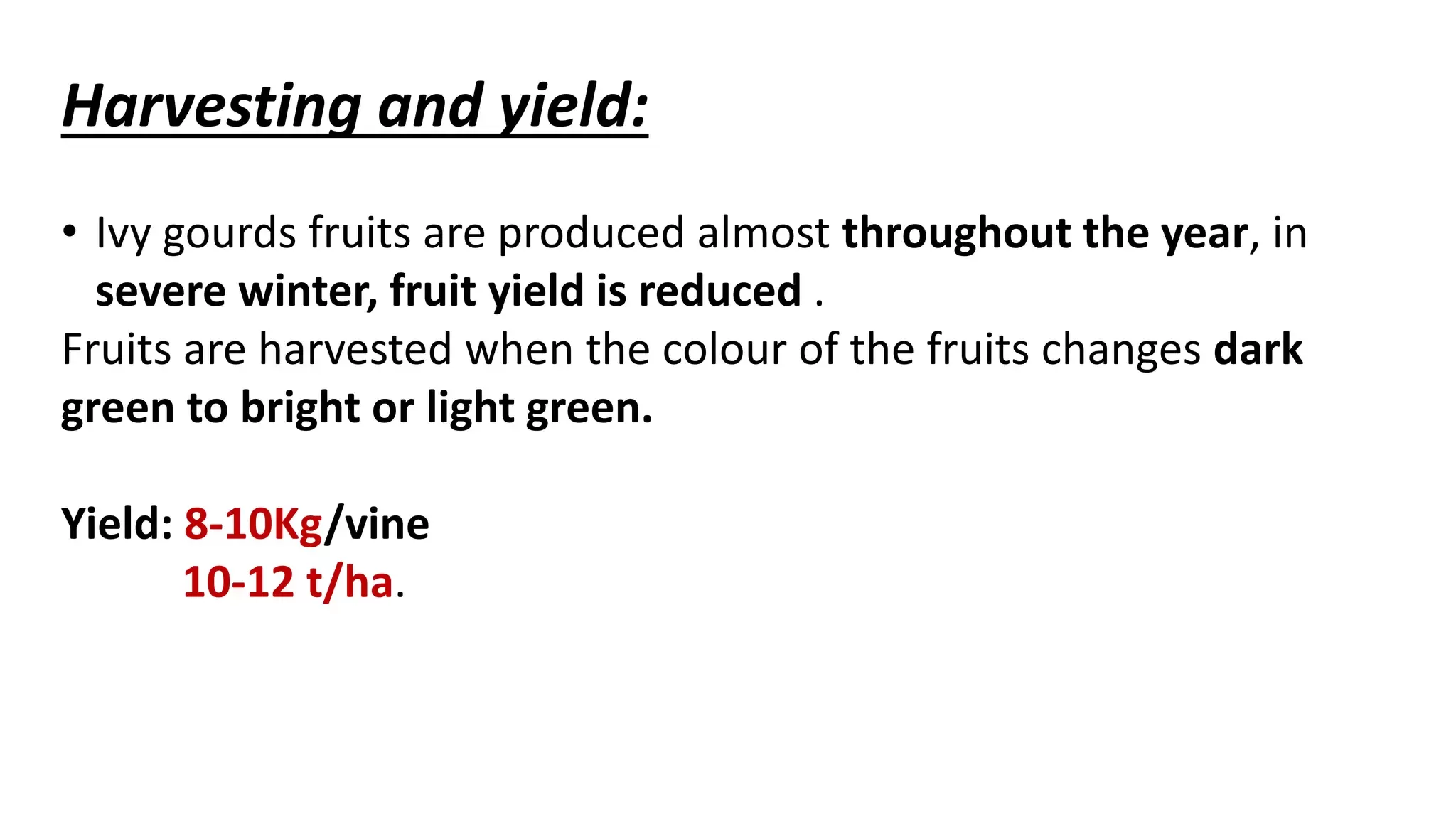 Slide 8