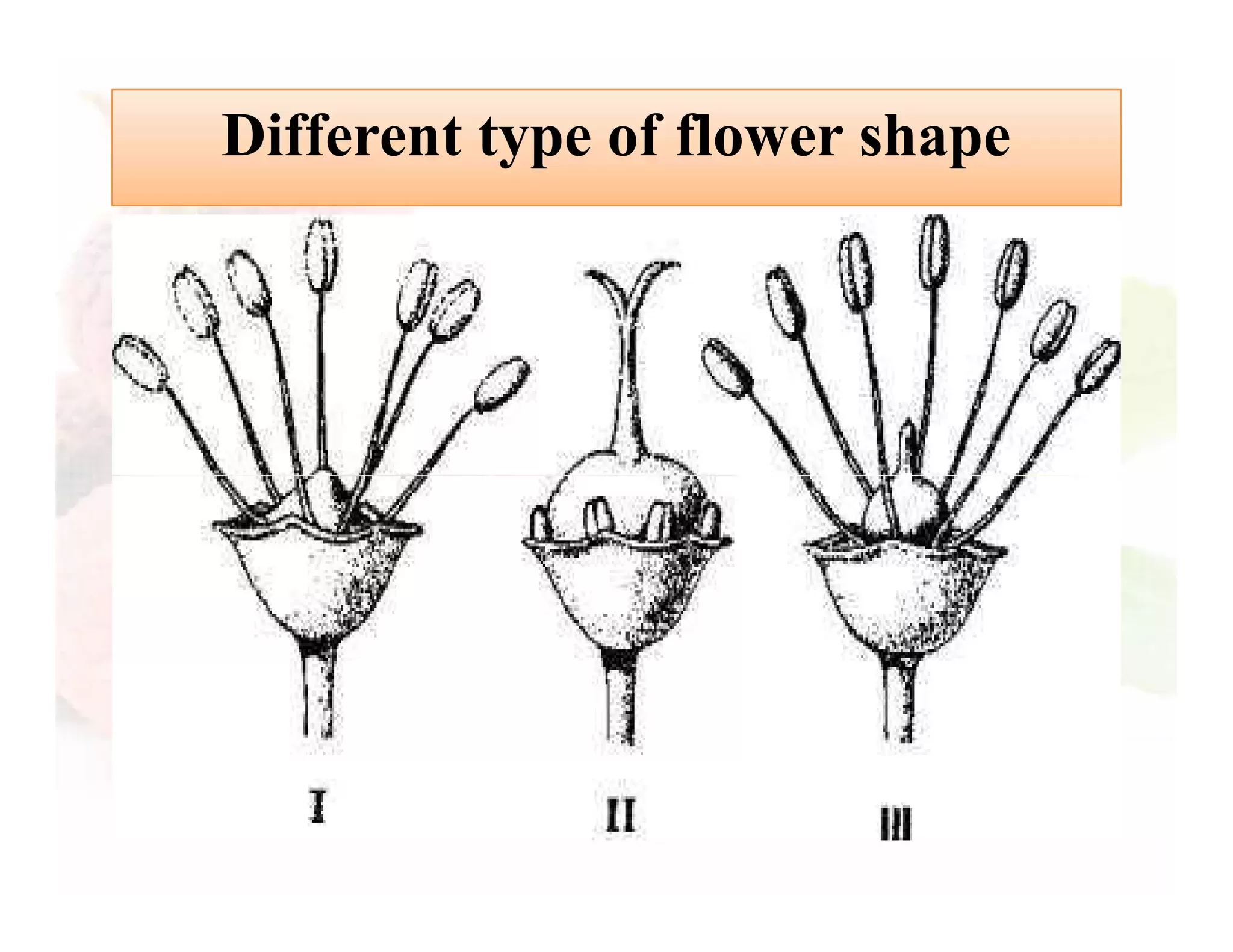 Slide 9