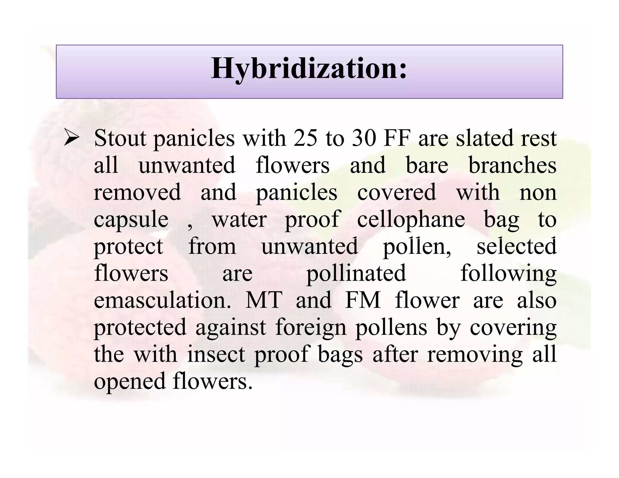 Slide 11