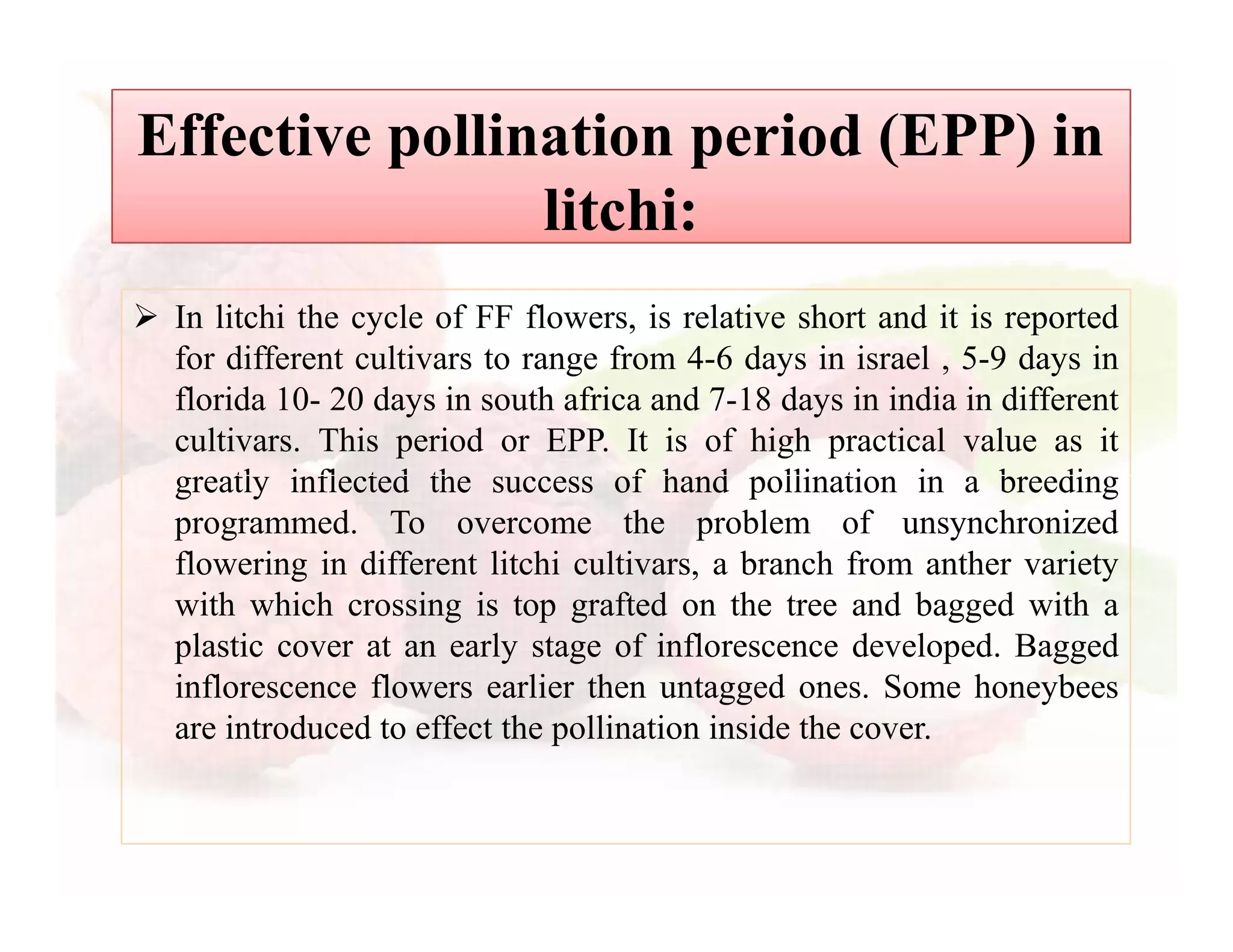 Slide 12
