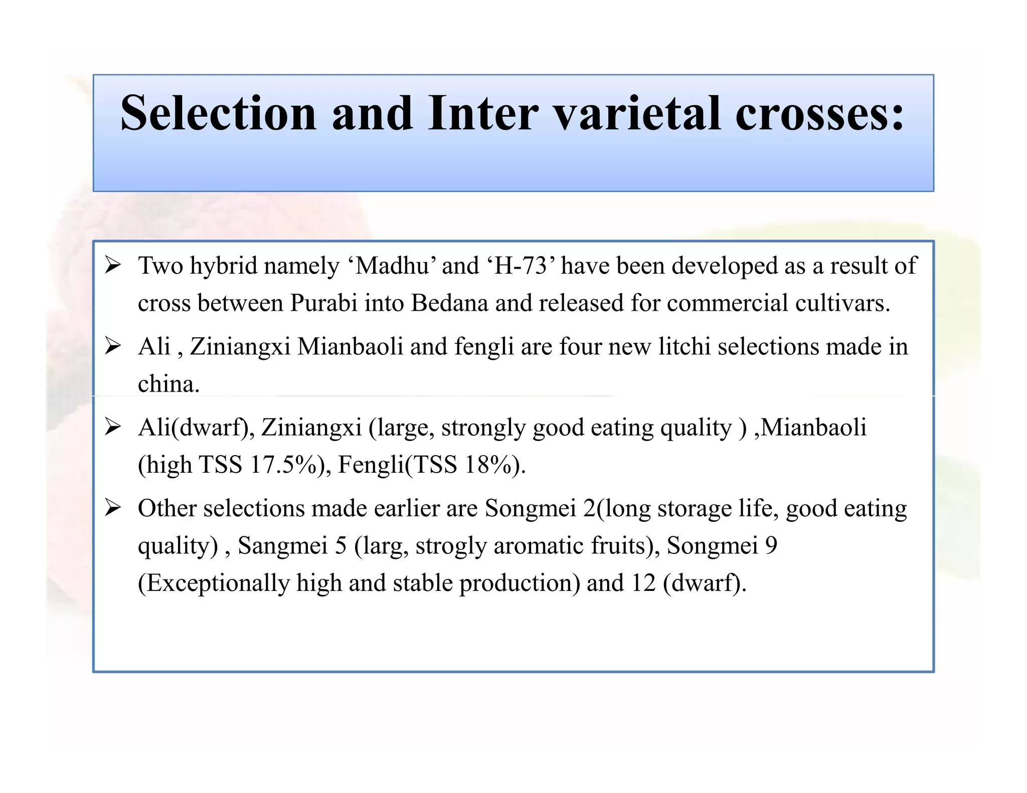Slide 13