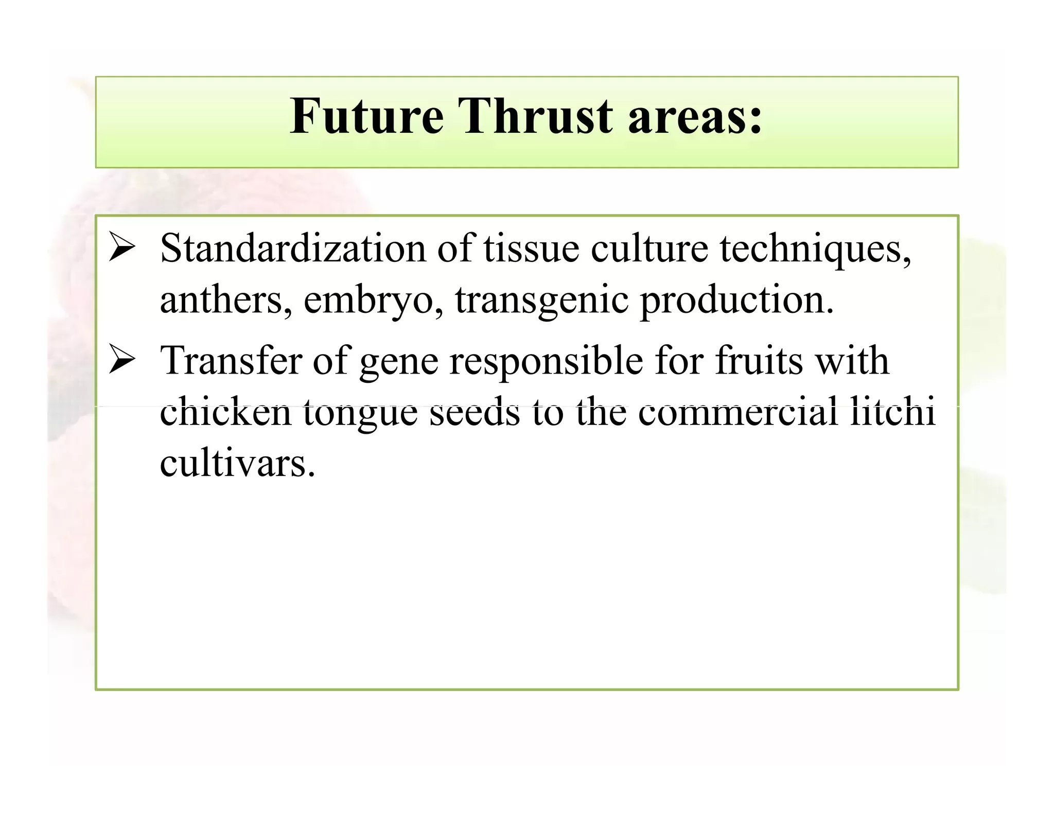 Slide 15