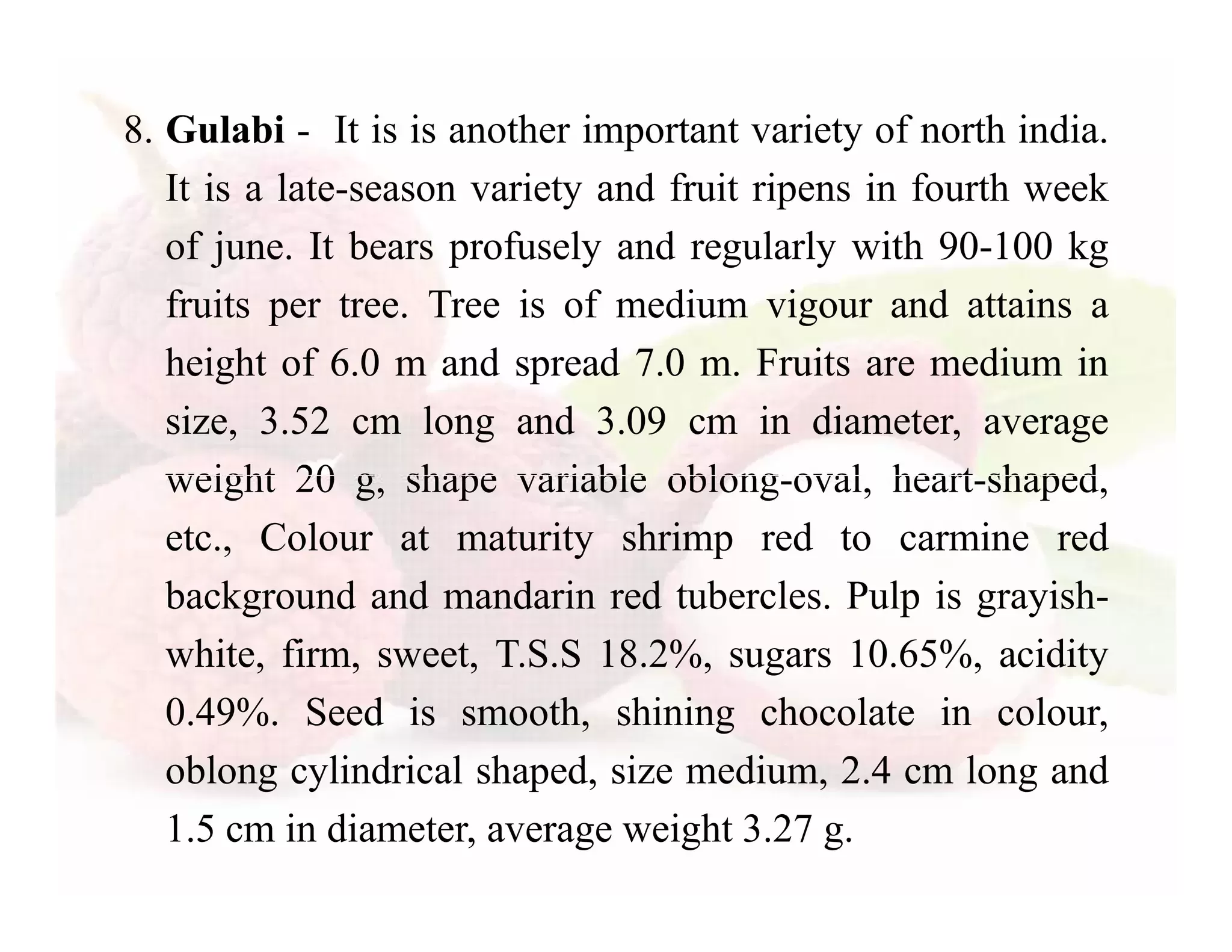 Slide 23