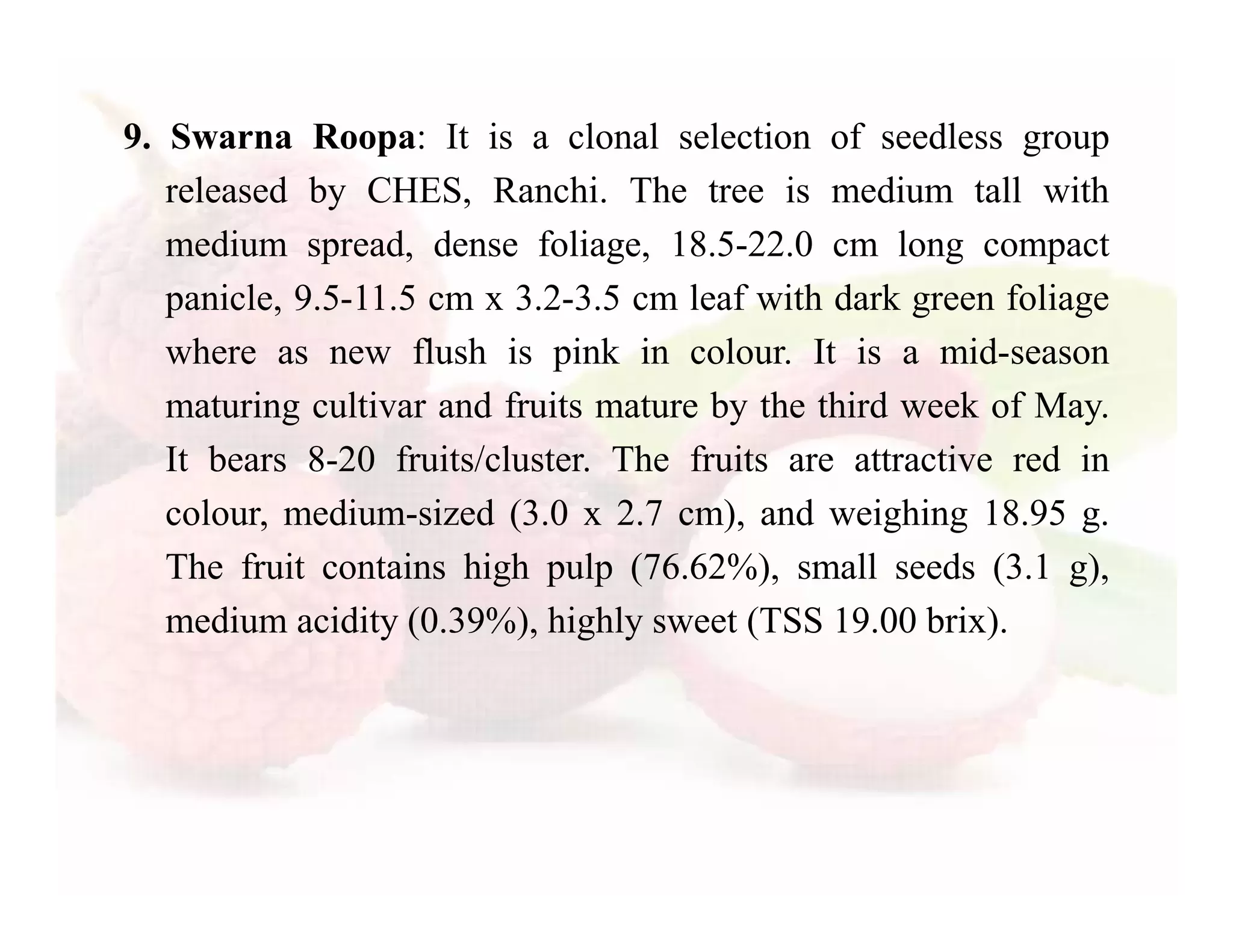 Slide 24
