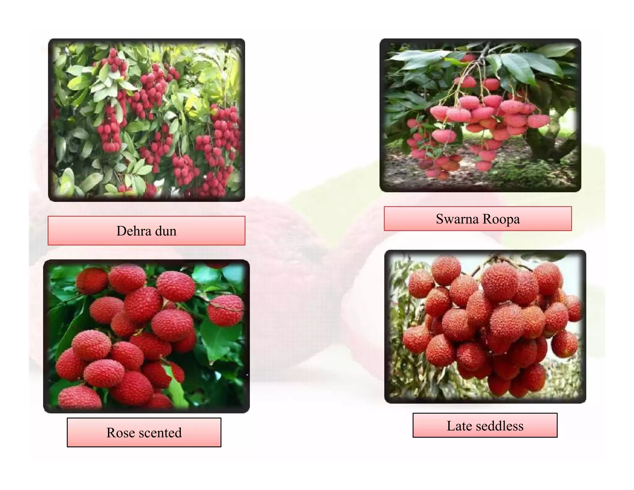 Slide 26