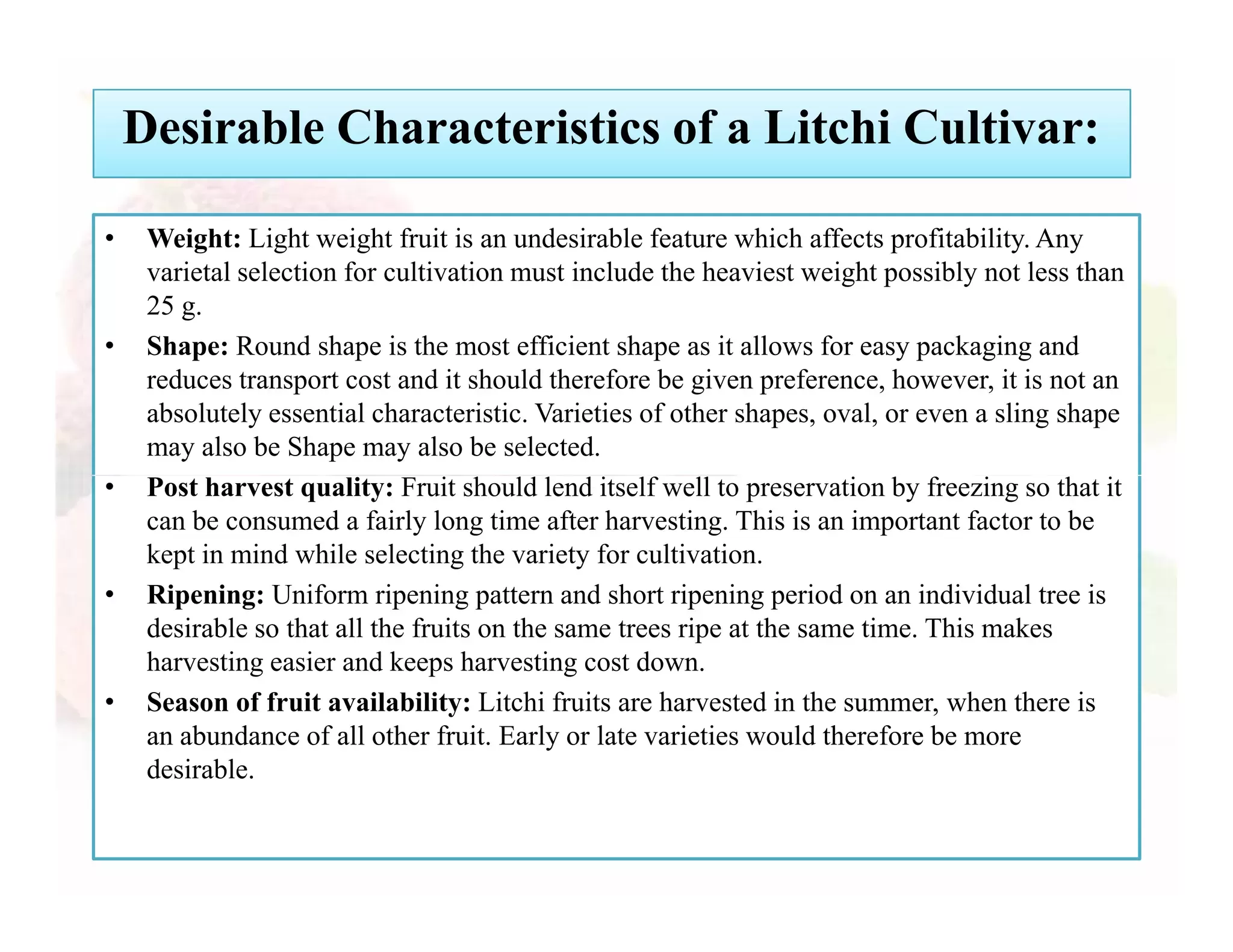 Slide 6
