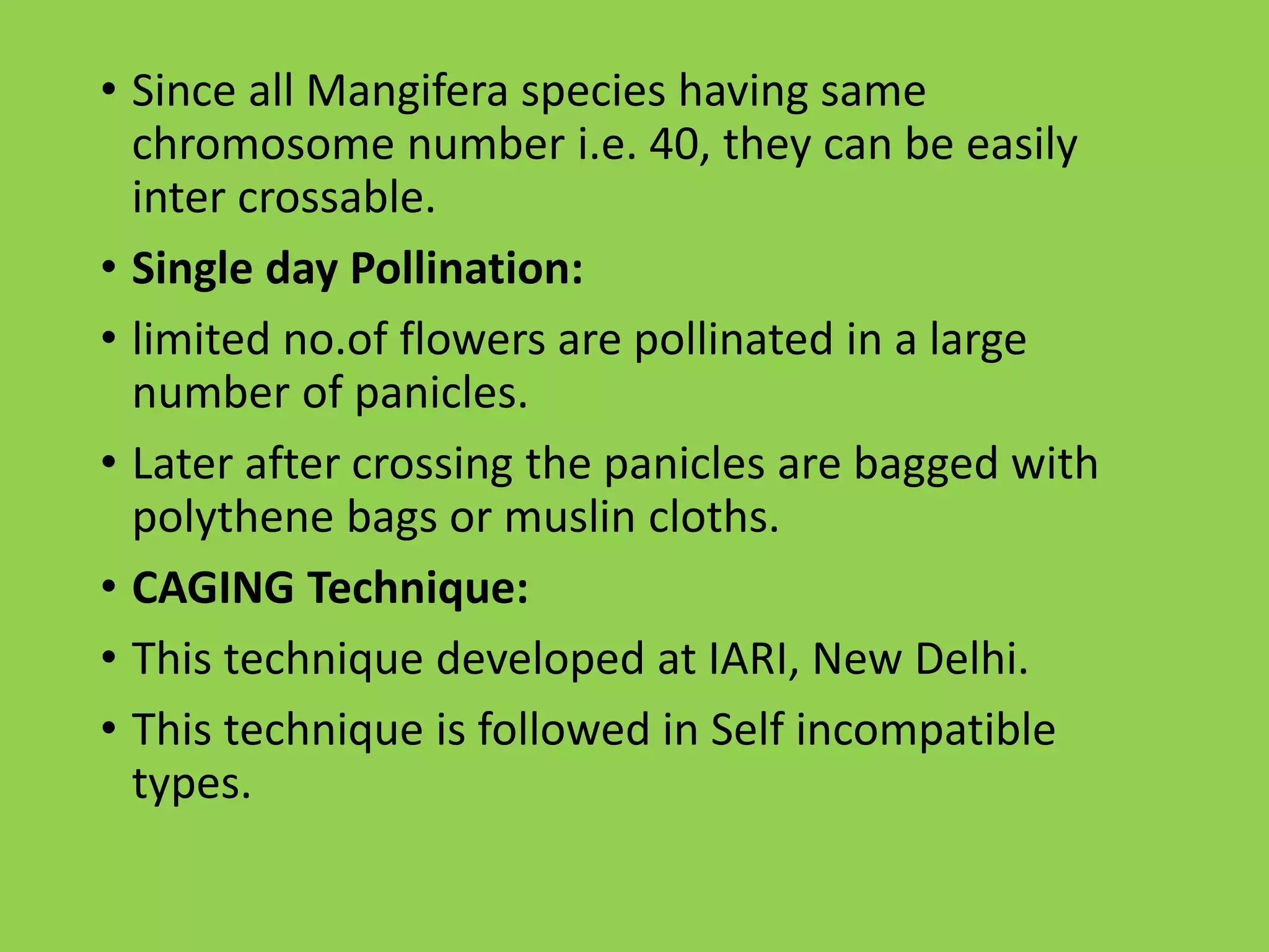 Slide 11