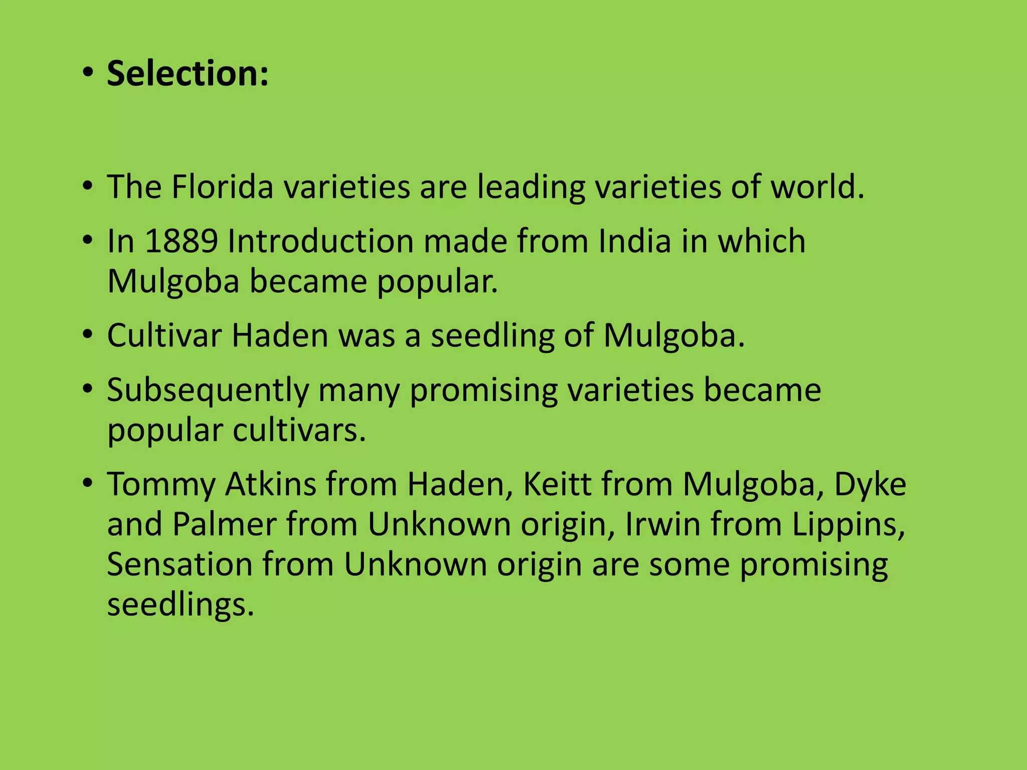 Slide 16