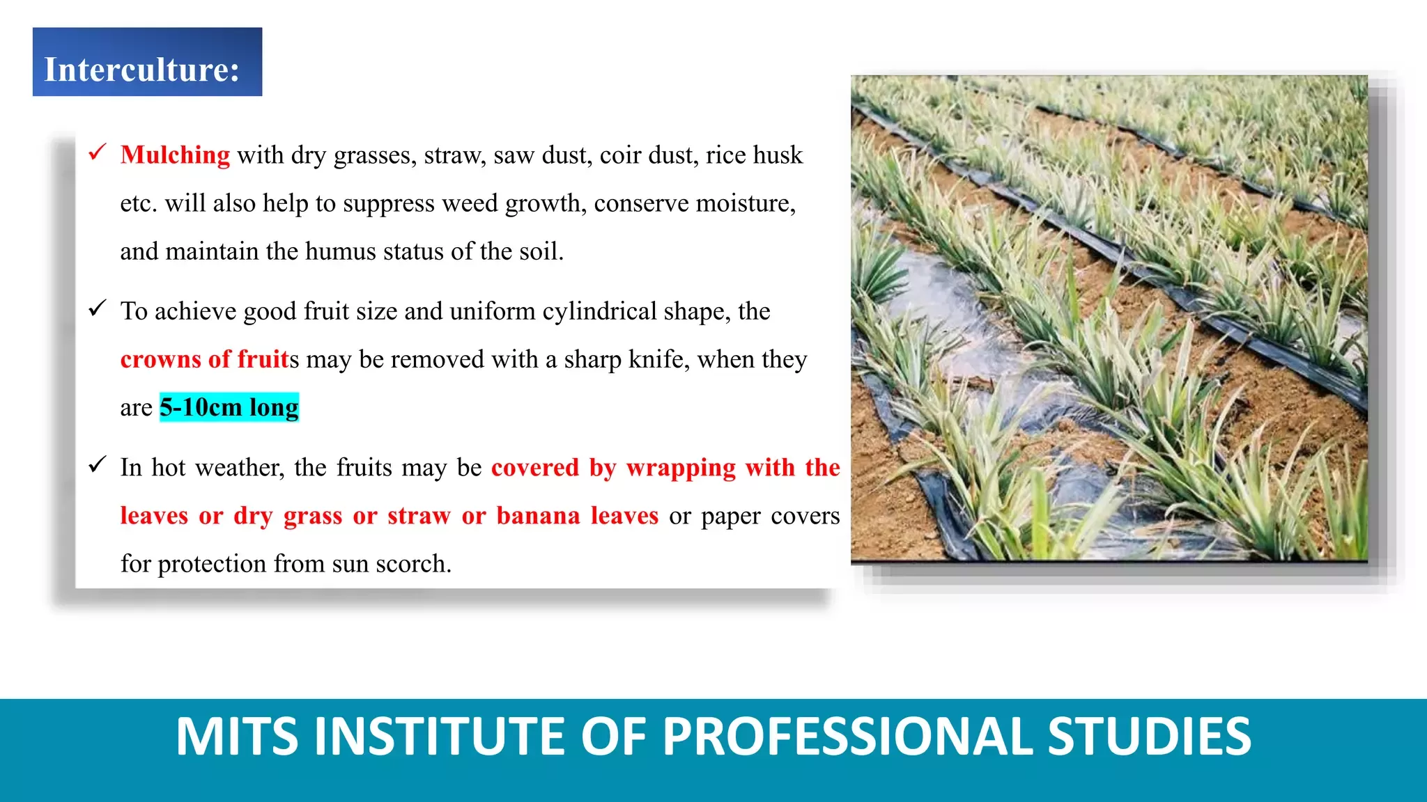 Slide 9
